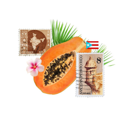 A halved papaya with black seeds, two postage stamps from Puerto Rico, a pink flower, green palm leaves, and a small Puerto Rican flag.