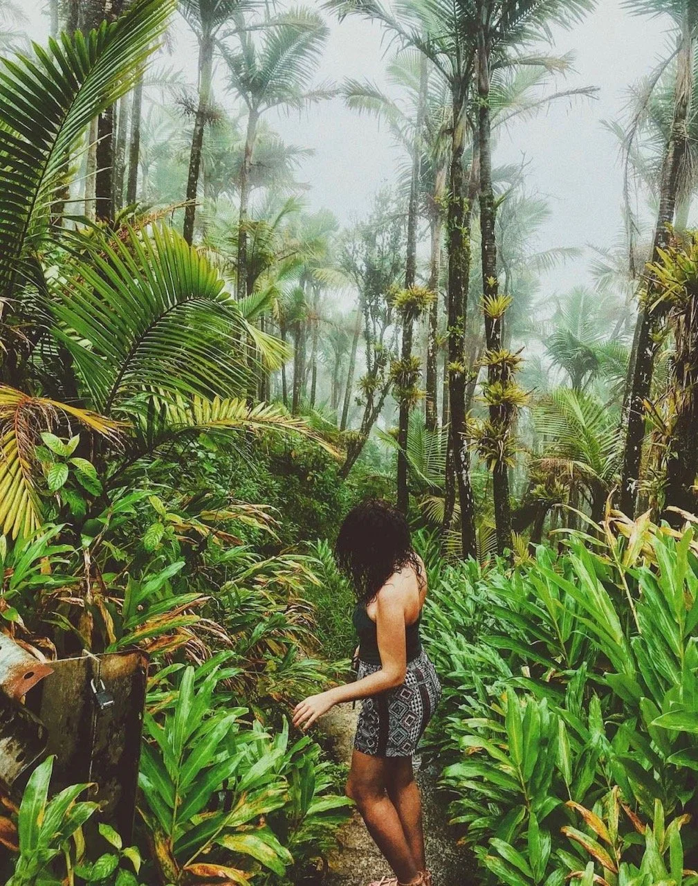 A woman with curly black hair wearing a black sleeveless top and black-and-white geometric patterned shorts walking through a lush tropical jungle with tall palm trees and dense green foliage, fog in the background.