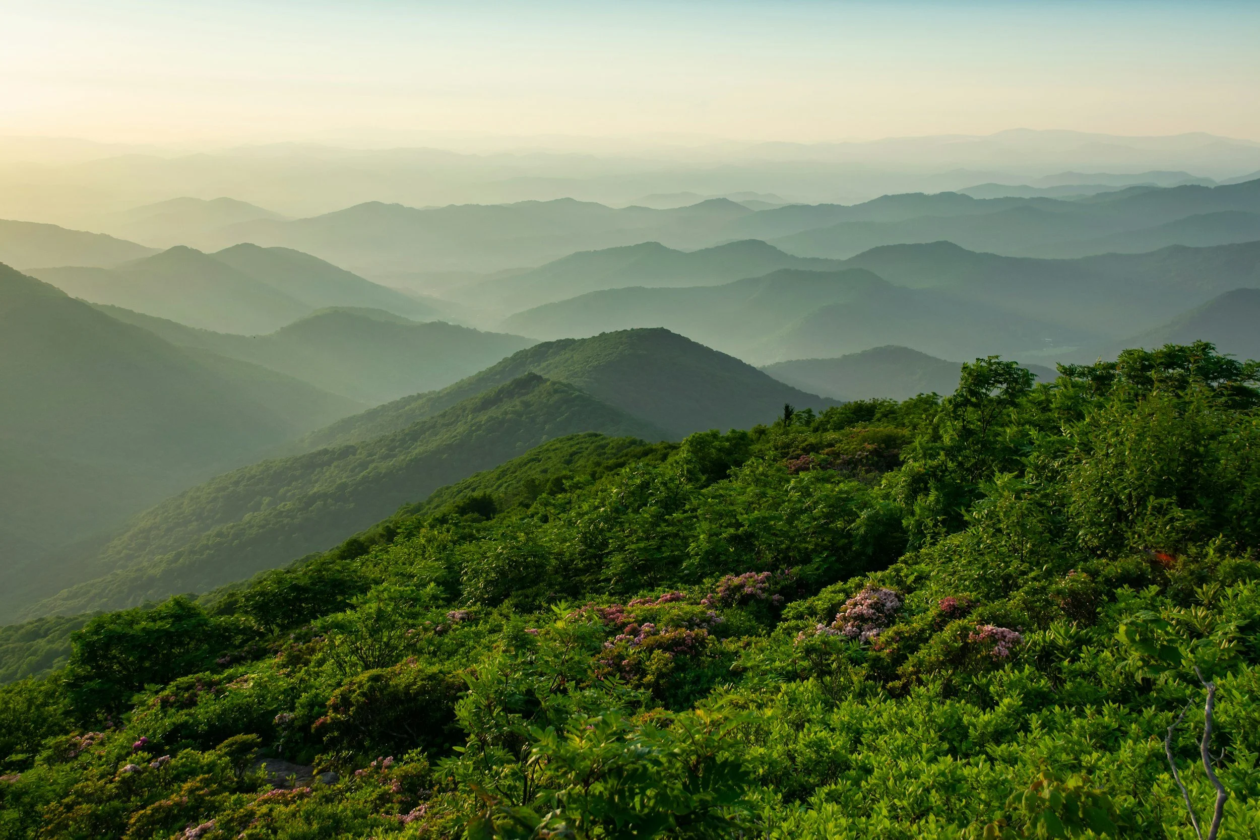 mountain-property-rental-management