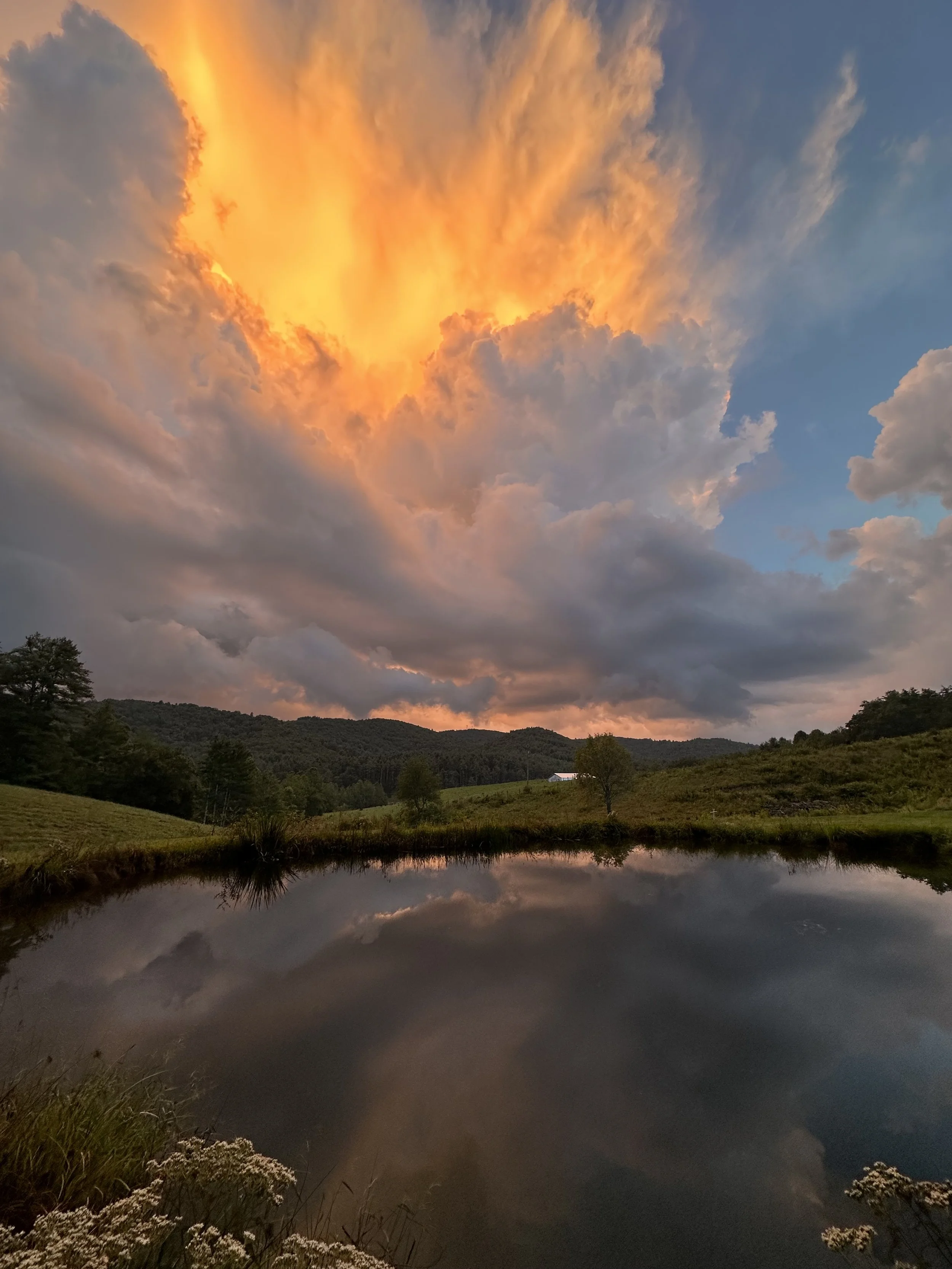 Sunset reflecting on the pond at Parkway Paradise