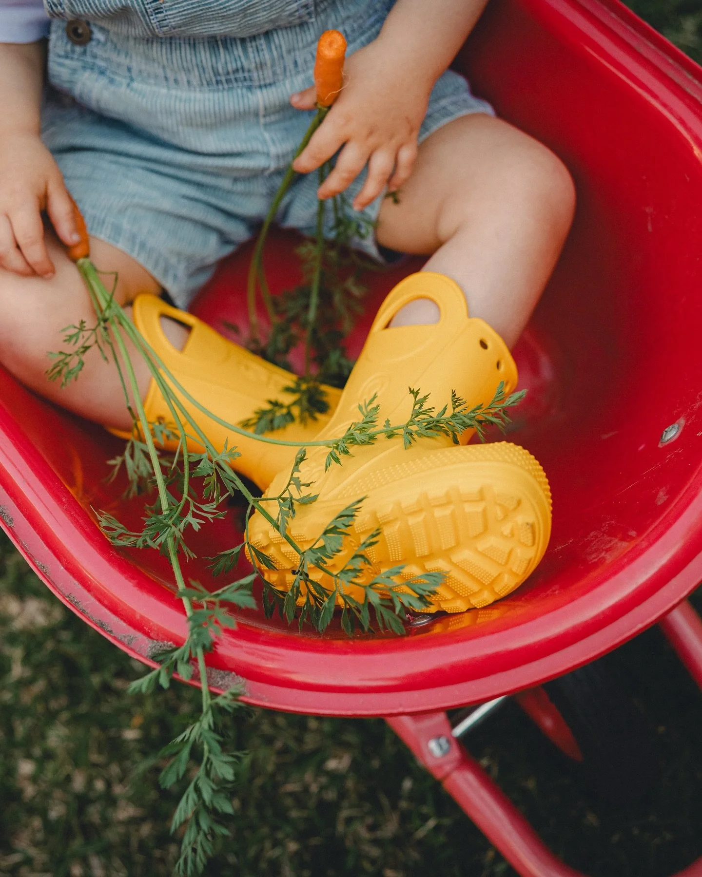 backyard family sessions are quickly becoming my favourite thing ever!!! 🧡🥕🍓

more of these this summer pls 🤞🏼