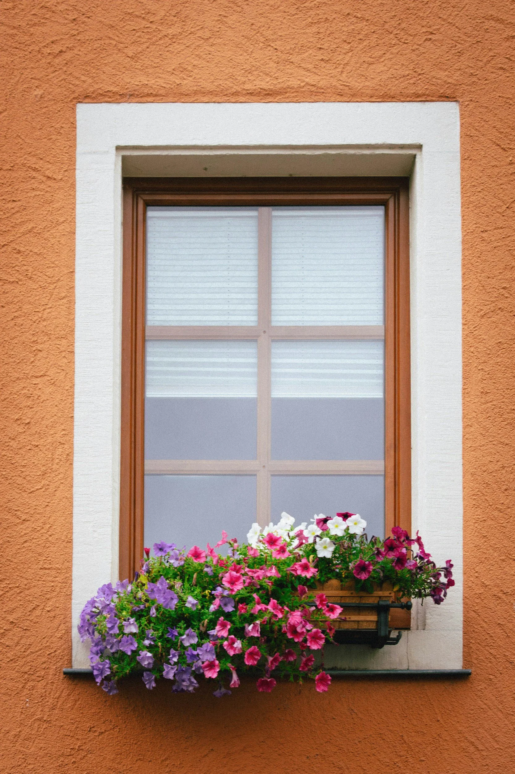 A window with a flower box filled with pink, white, and purple flowers on a textured orange wall.