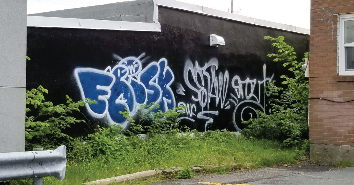 Graffiti art with the word 'EGO' in blue and white, and the word 'STEW' in white, on a black wall surrounded by green plants and bushes.