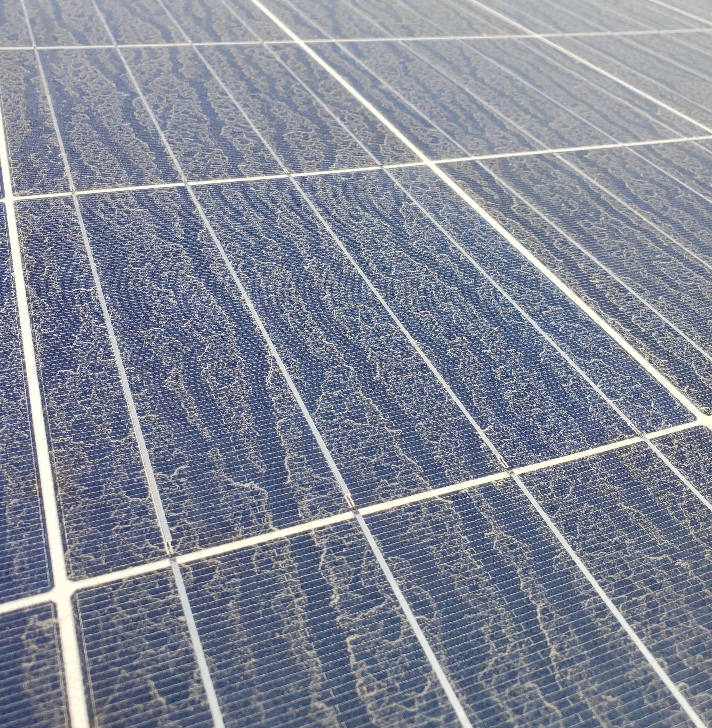 Close-up of blue solar panels with a textured surface and white grid lines.