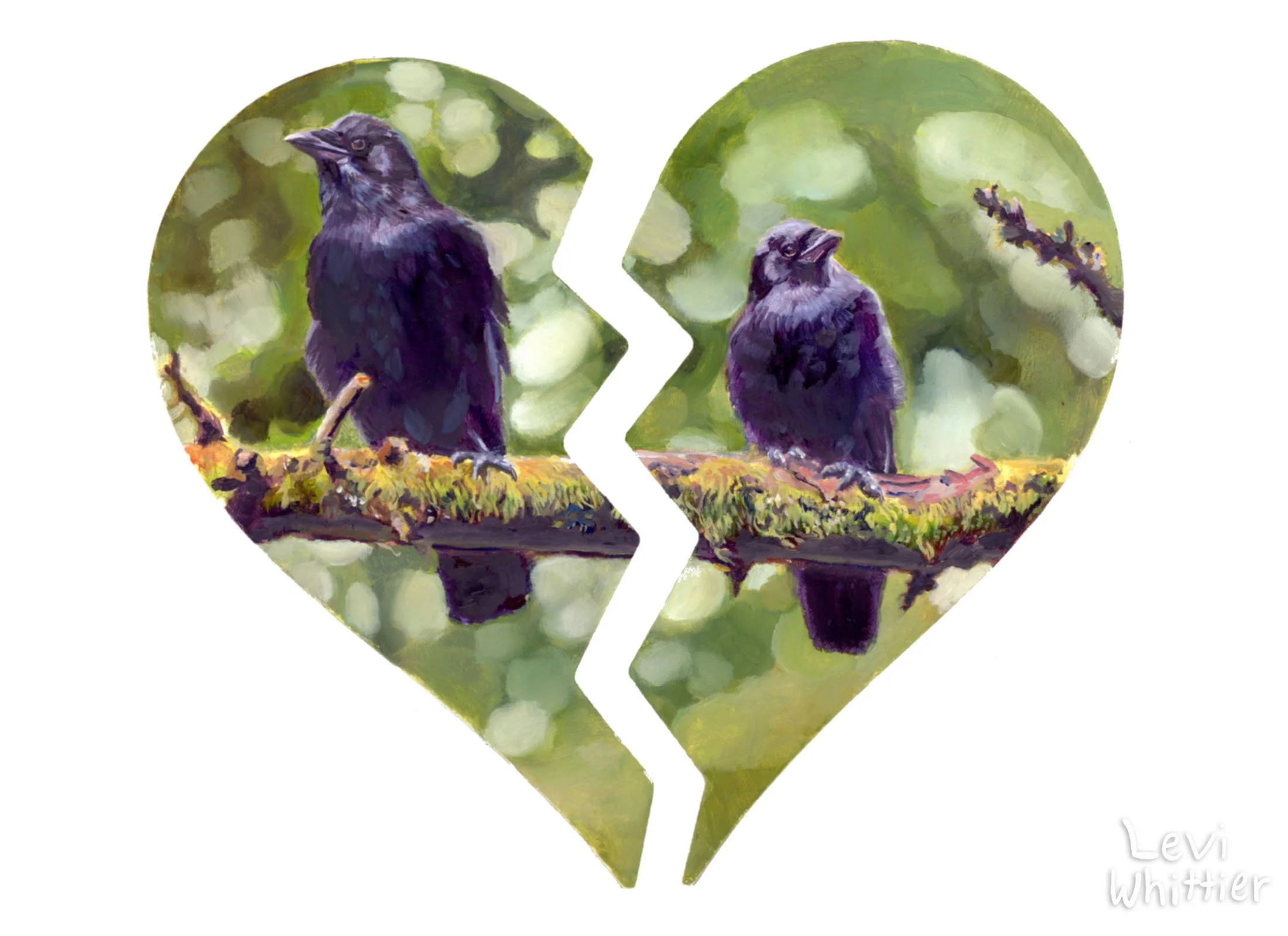 landscape_photos-1_0032_Crow heartbreak -watermarked.jpg