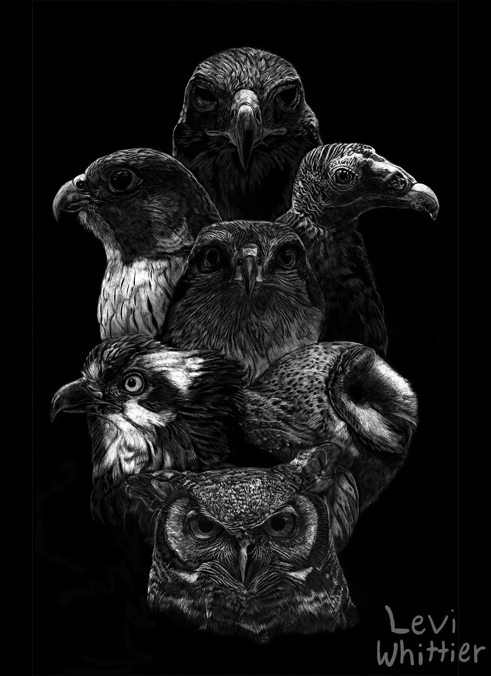 vertical_photos_0030_raptors2-watermarked.jpg