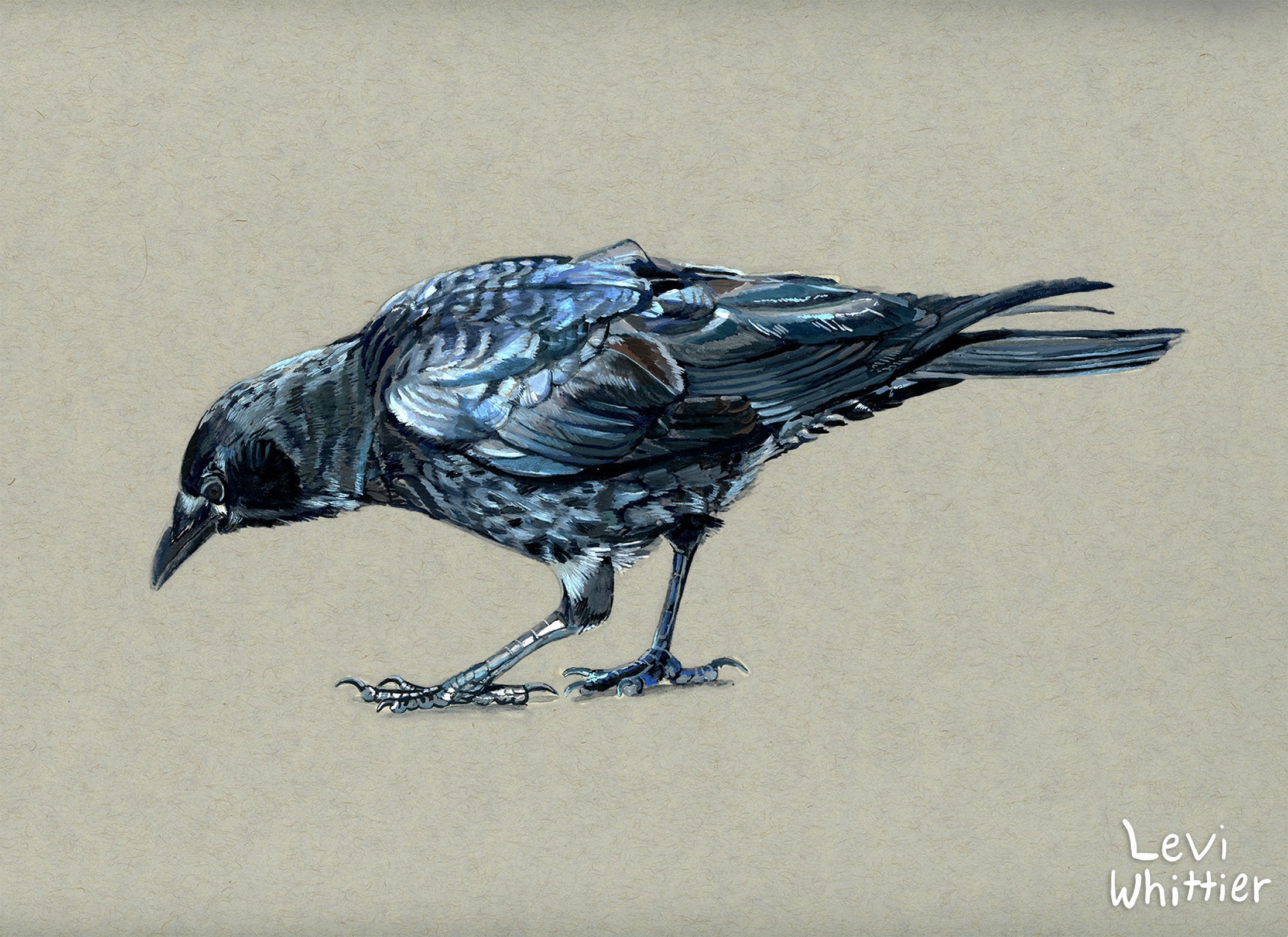 landscape_photos-1_0035_Layer 1-watermarked.jpg