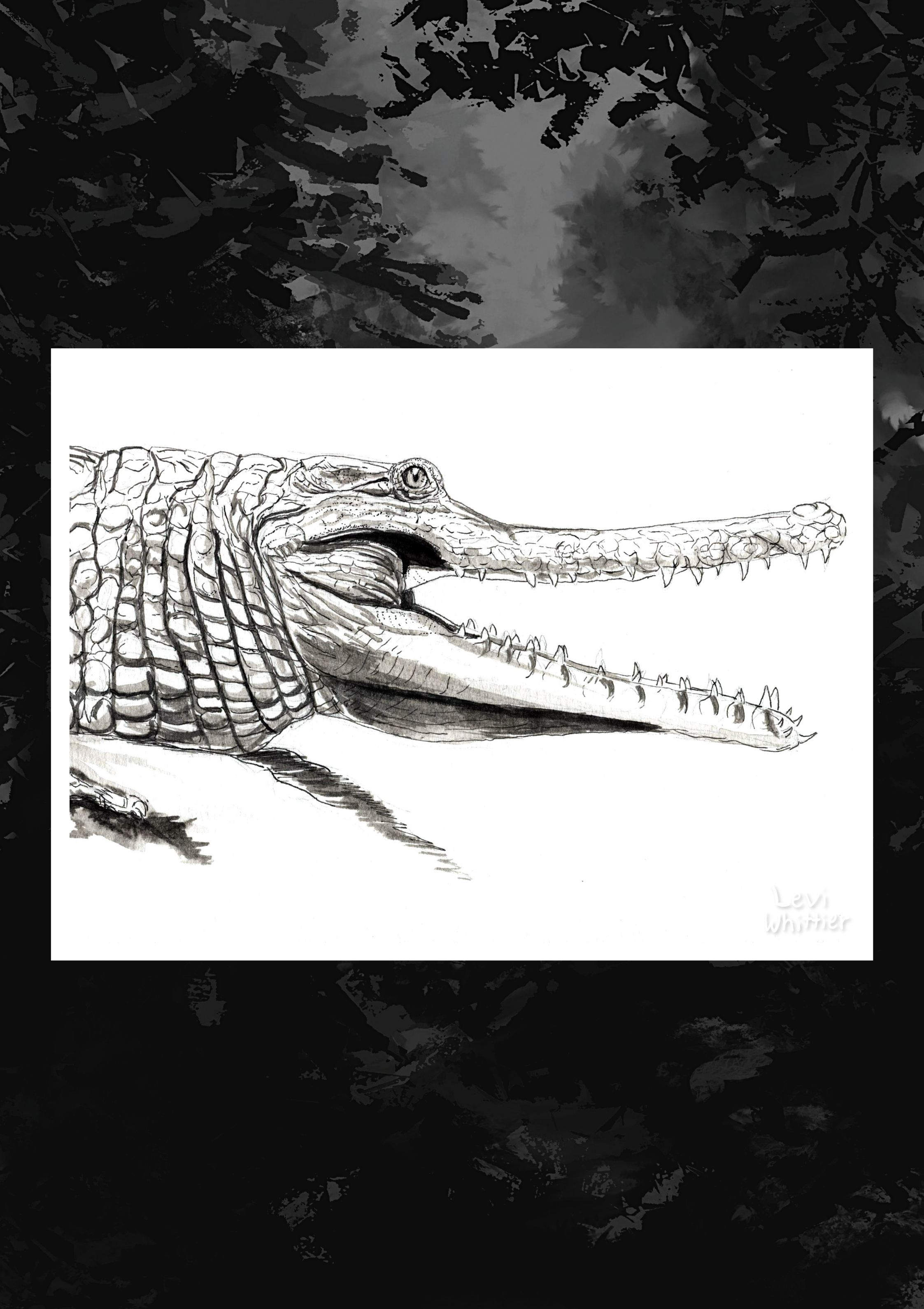 Untitled design-3.png