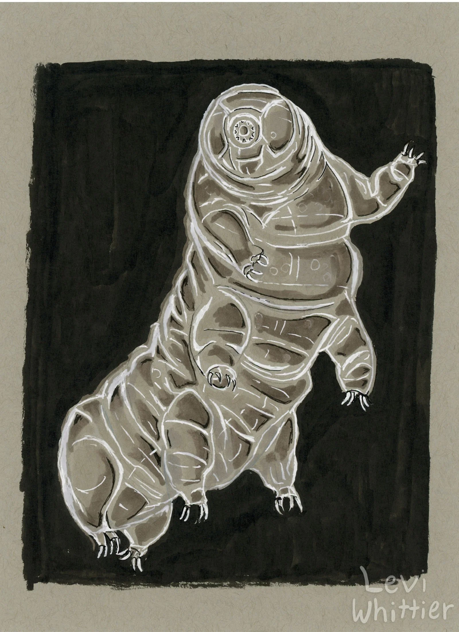 vertical_photos_0025_Tardigrade-watermarked.jpg