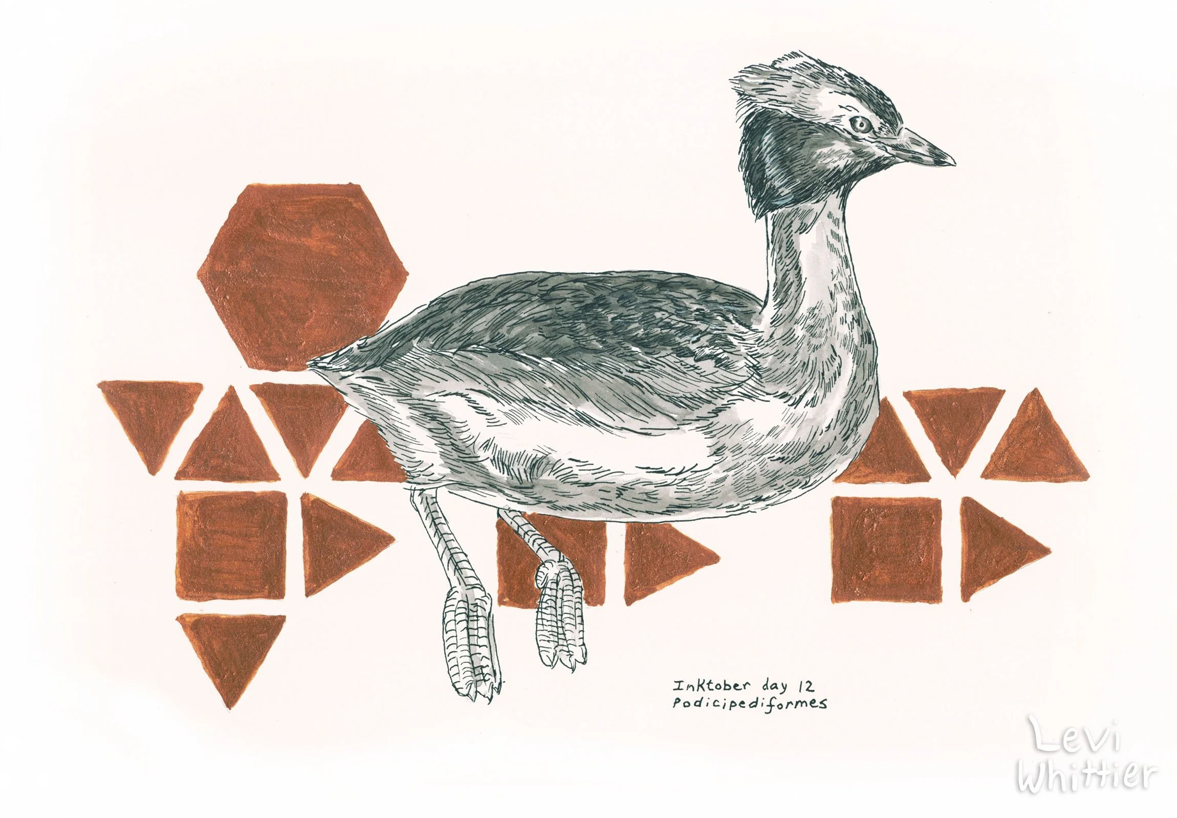 Inktober_watermarked_0001_Day 12 - Podicipediformes - Grebe-watermarked.jpg