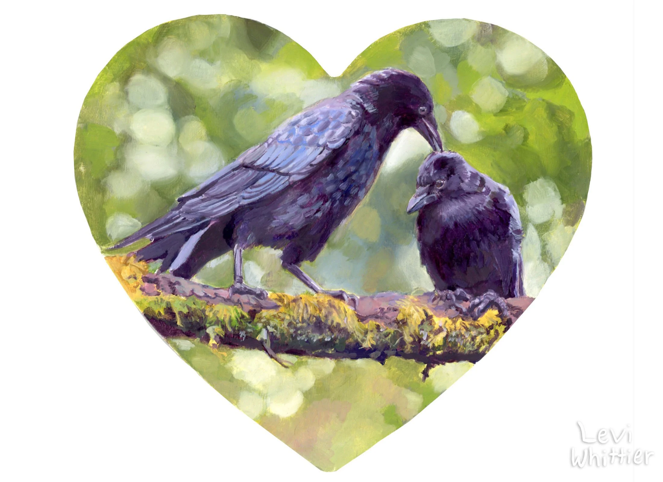 landscape_photos-1_0033_Crow love-watermarked.jpg