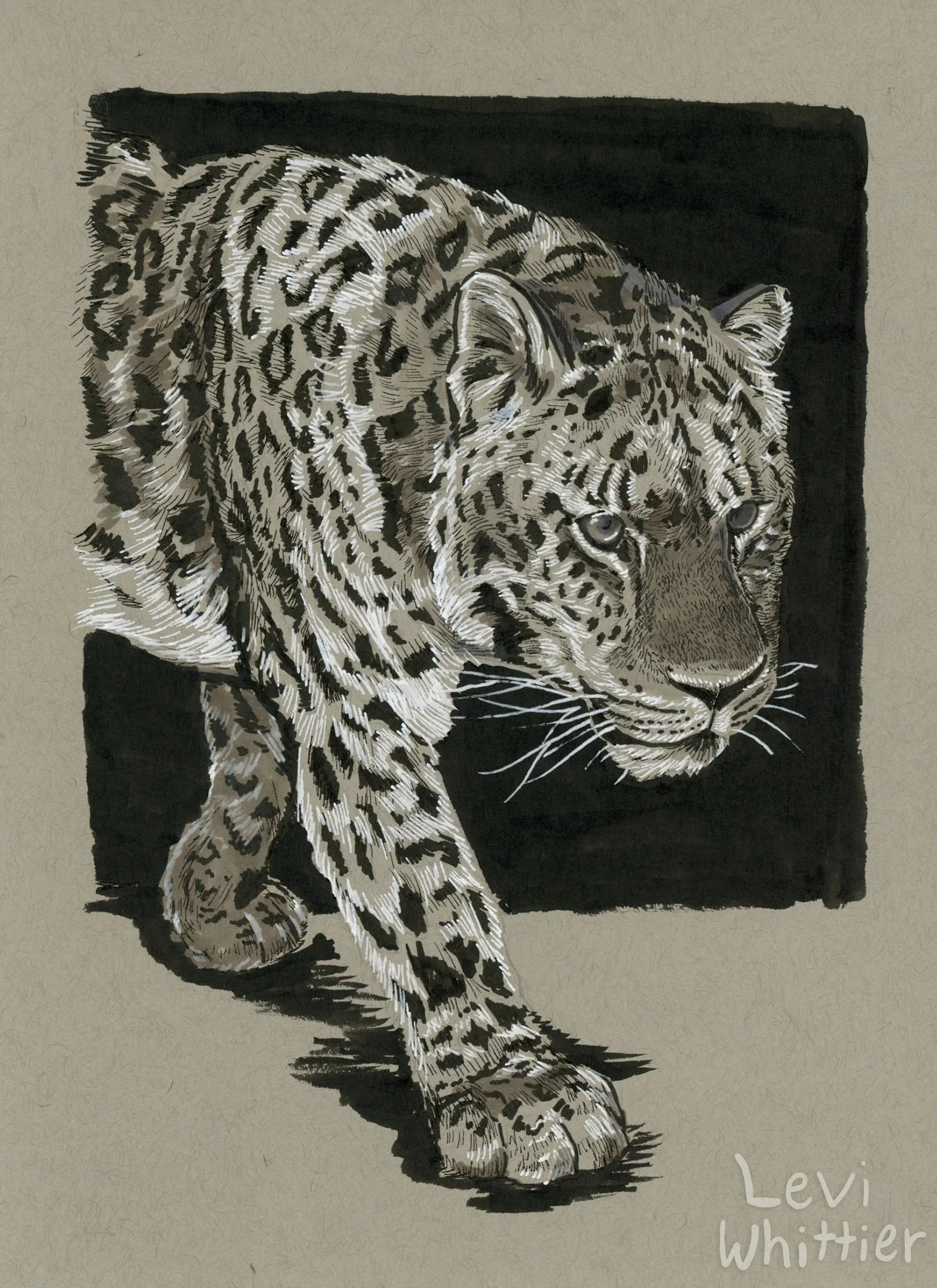 vertical_photos_0043_Amur_leopard-watermarked.jpg