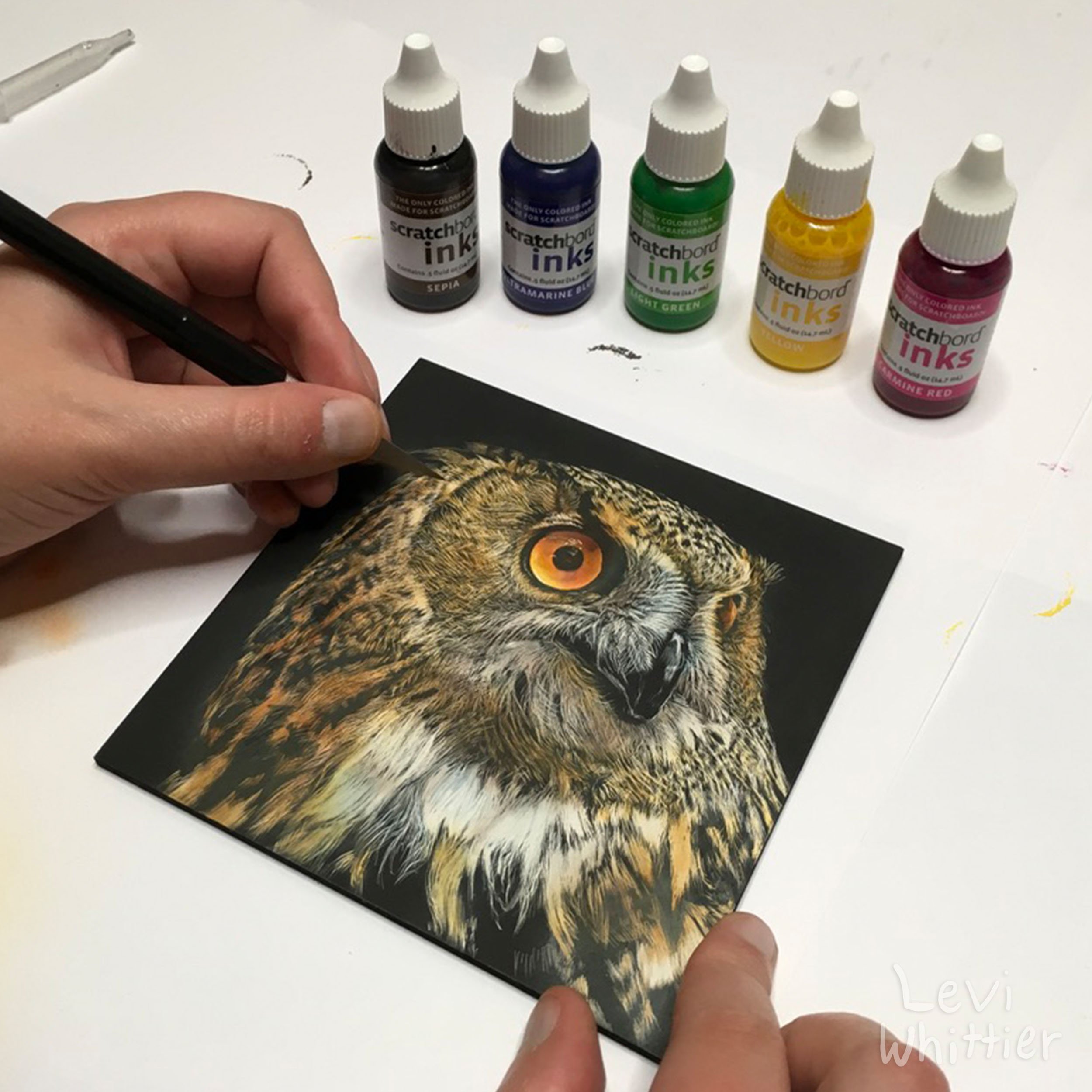 Person painting a detailed owl illustration on a black card with acrylic ink, with five bottles of colored ink in the background including black, blue, green, yellow, and red.