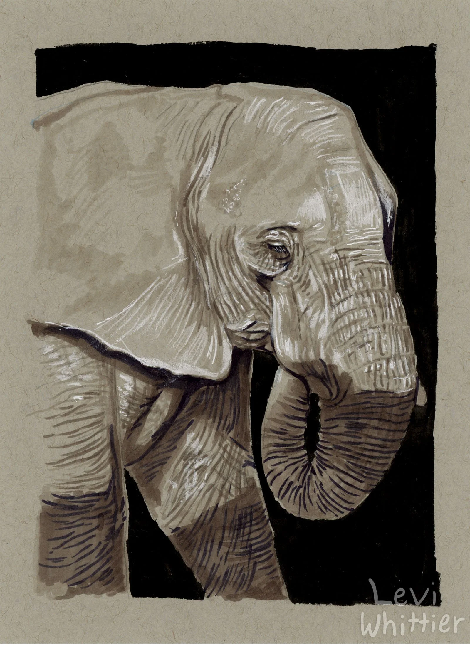 vertical_photos_0045_African Elephant-watermarked.jpg