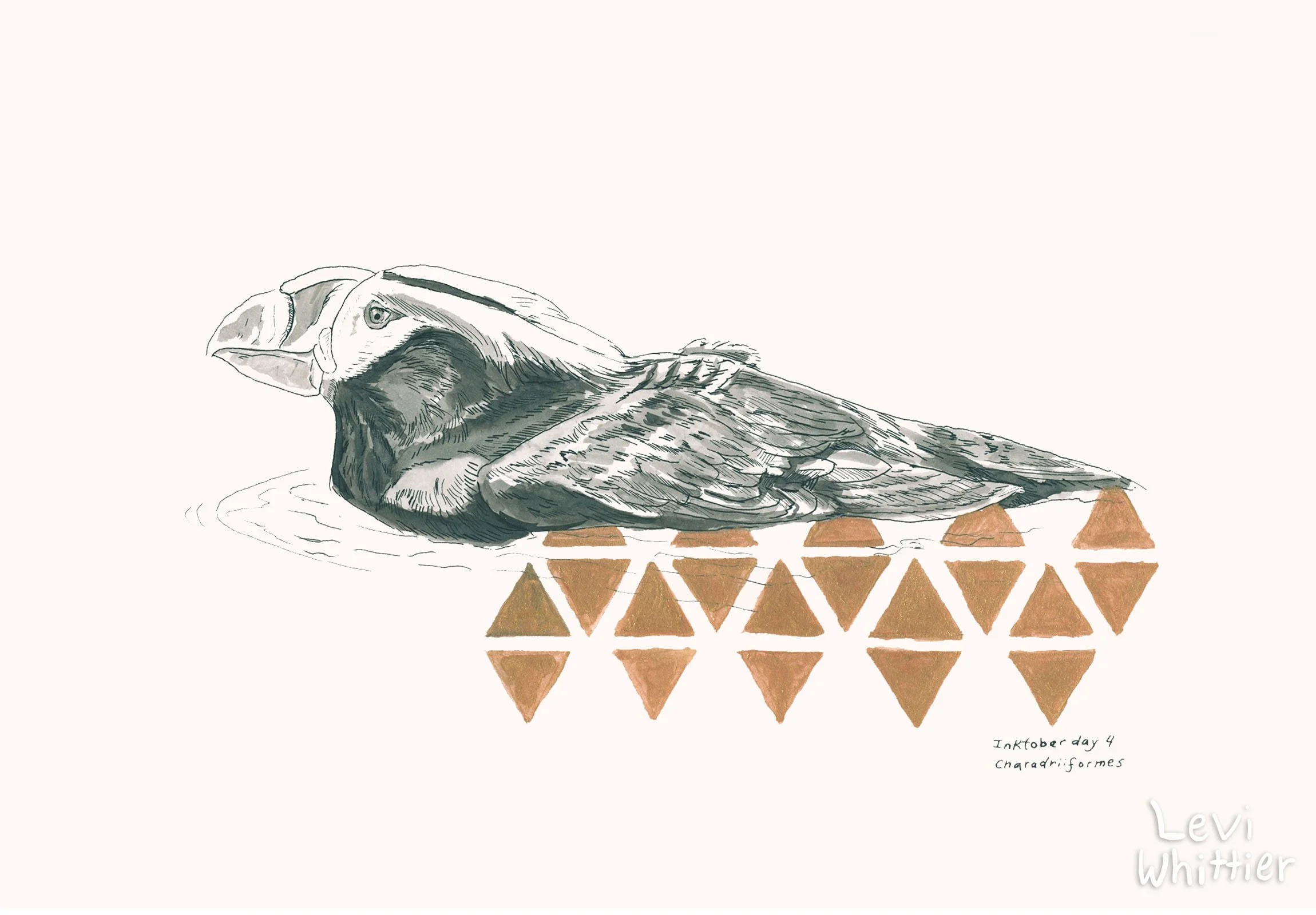 Inktober_watermarked_0021_Day 4 - Charadriiformes - Tufted Puffin-watermarked.jpg