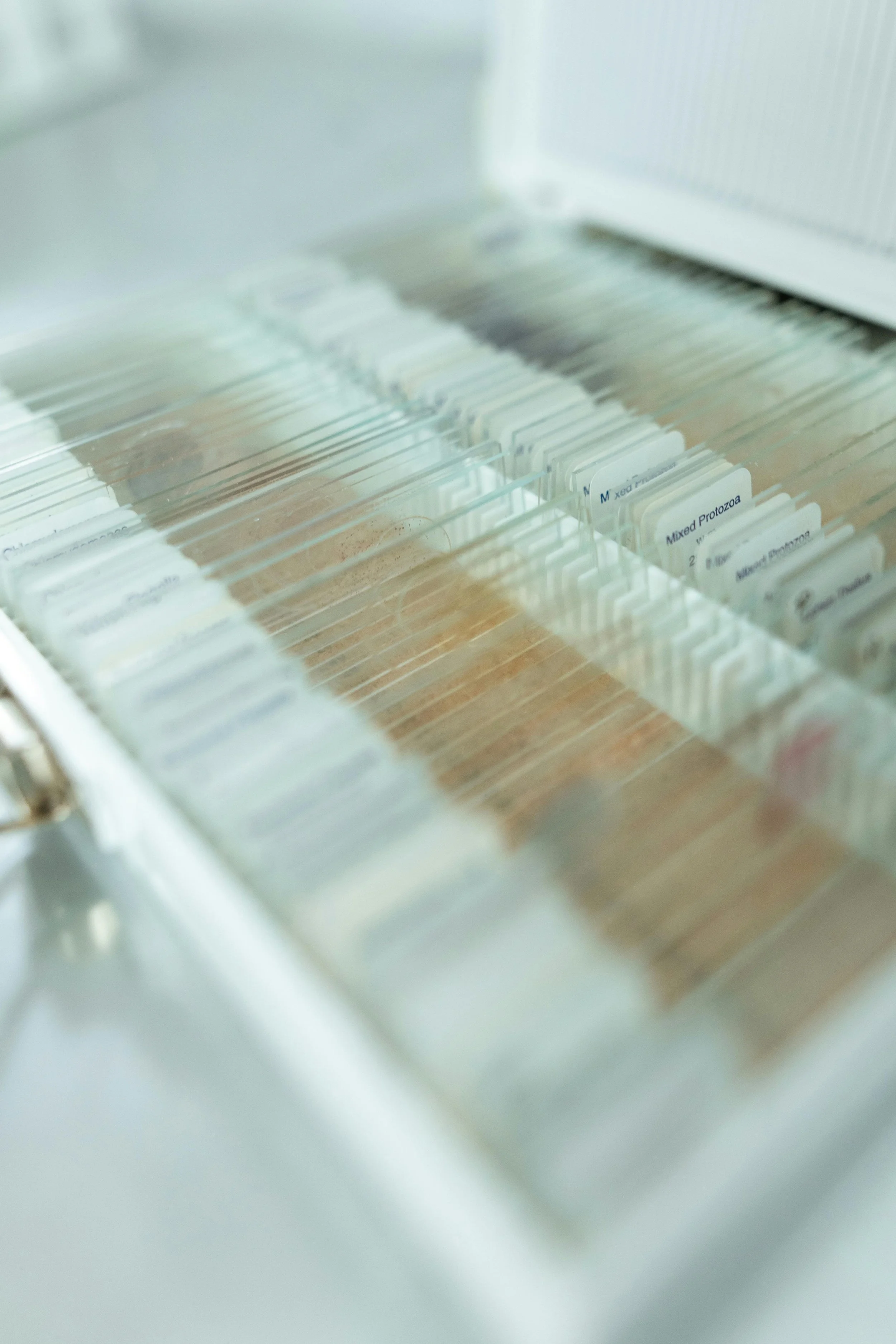 Modern wooden house with large glass window in a mountainous landscape with grassy terrain and sparse trees.