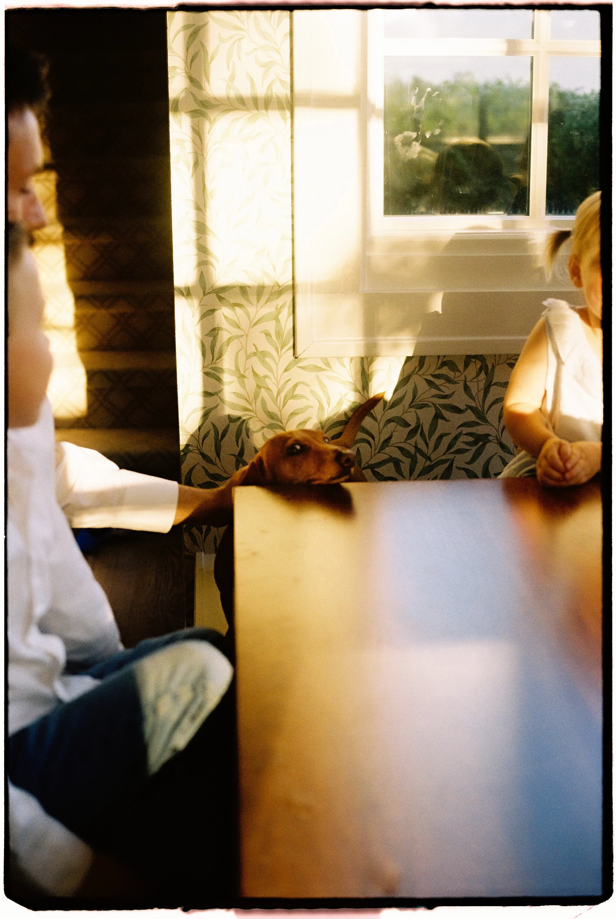 Family photographed at home during a candid 35mm film session near Springfield, Missouri.