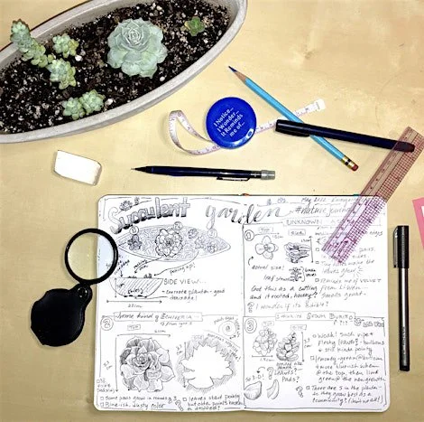 Nature Journaling FTW! - With Kate Rutter