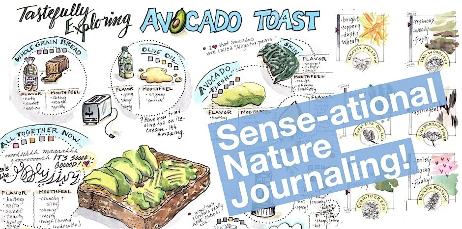 Sense-ational Nature Journaling - With Kate Rutter 