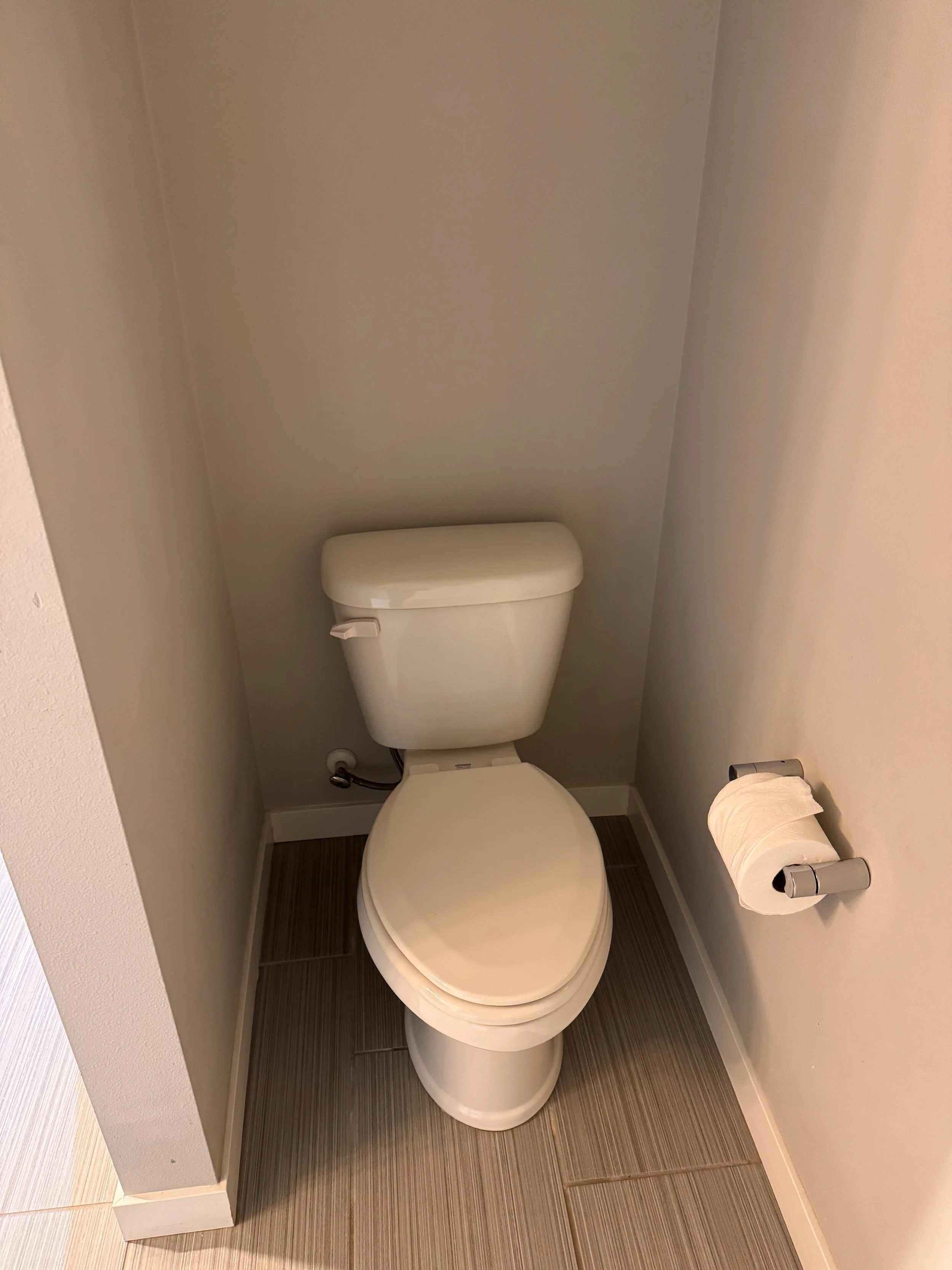 Move Out Clean Toilet.jpg