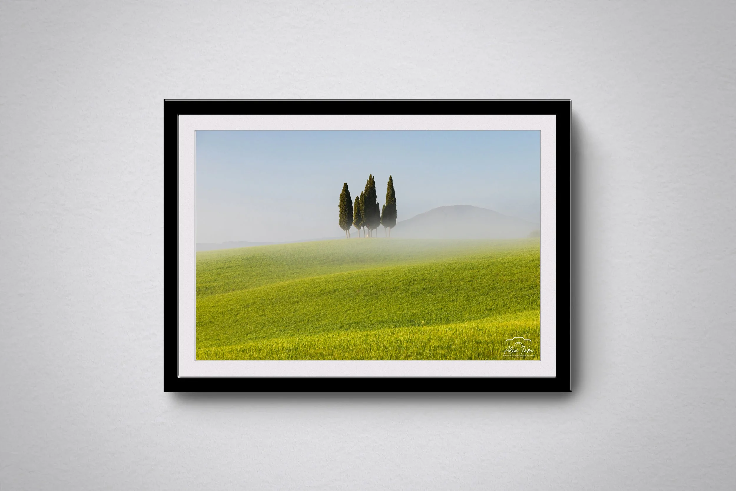 Four tree.jpg