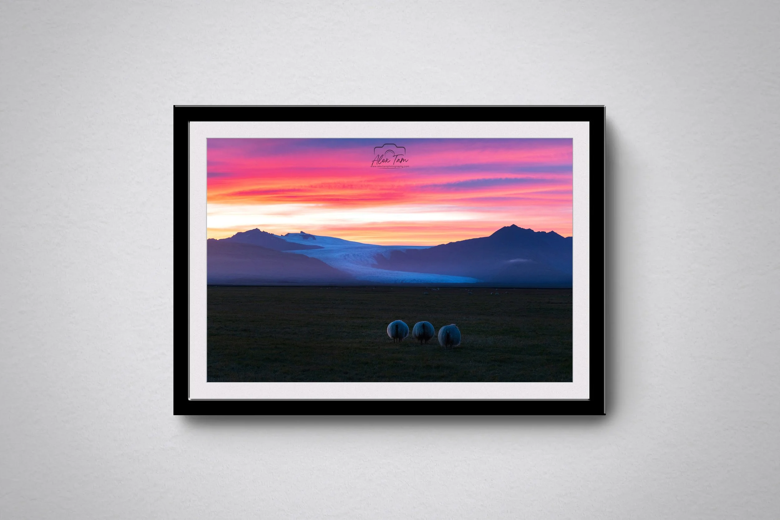 Heinaberg Glacier View with Sheep bck.jpg