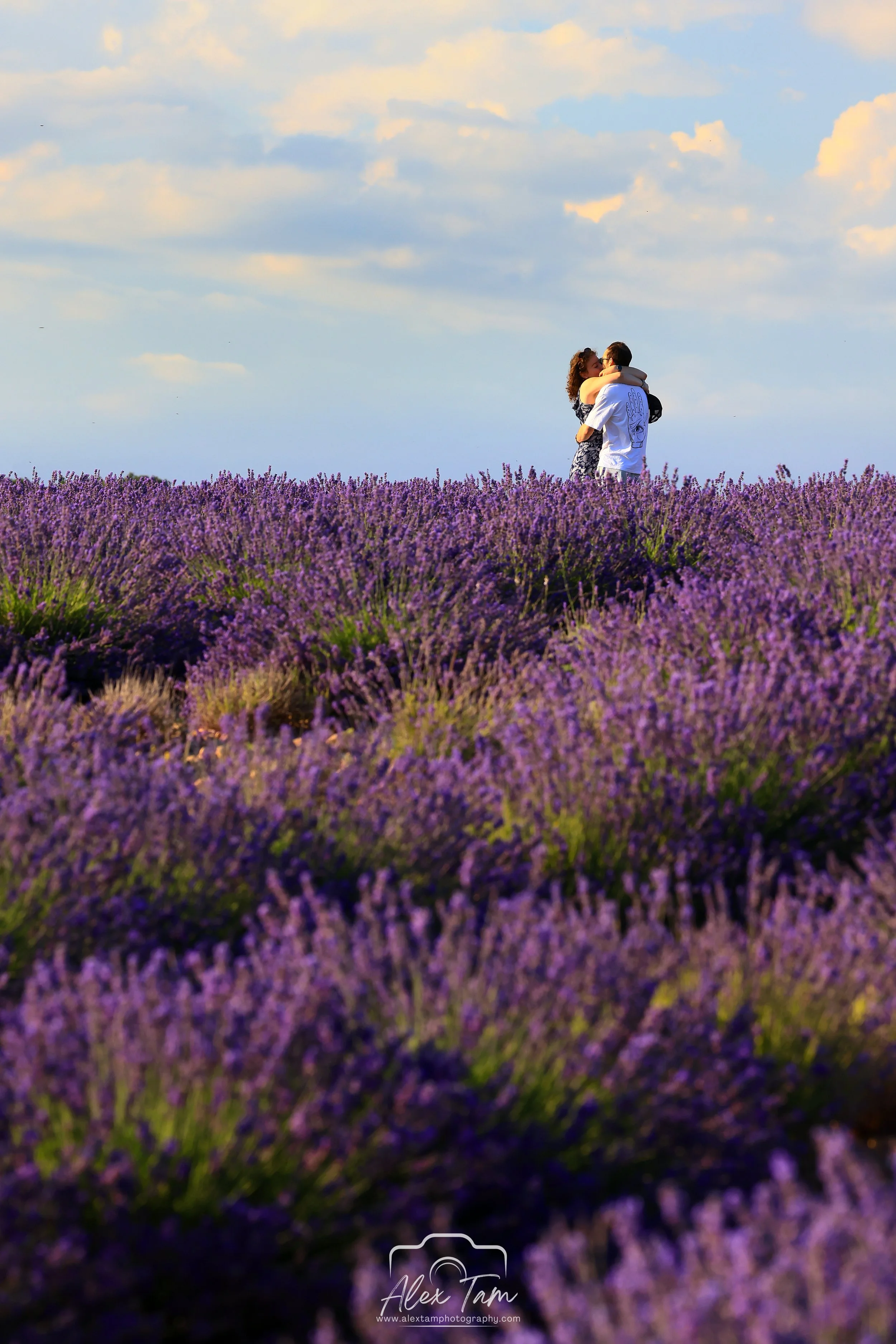 Provence love