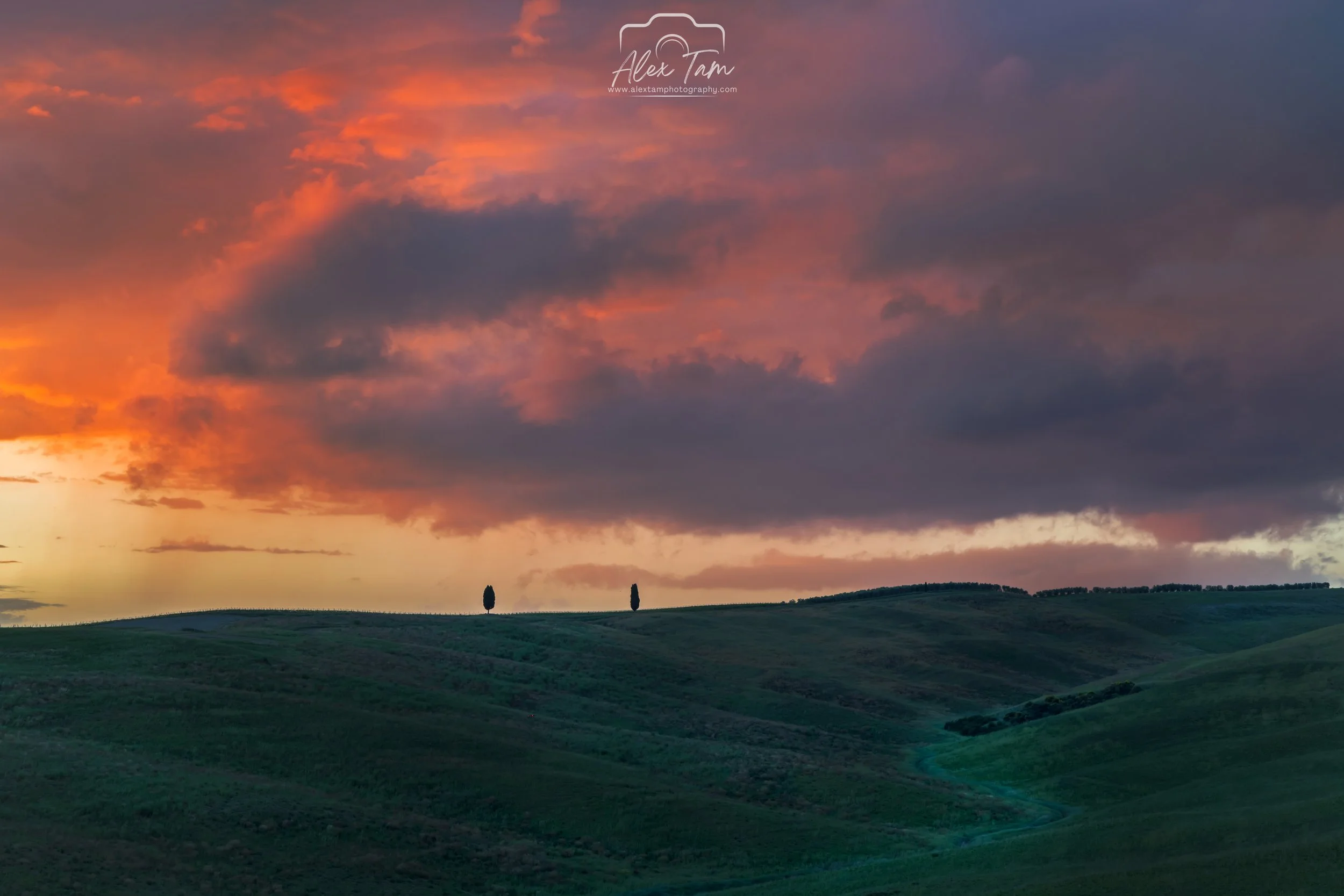 Two tree sunset
