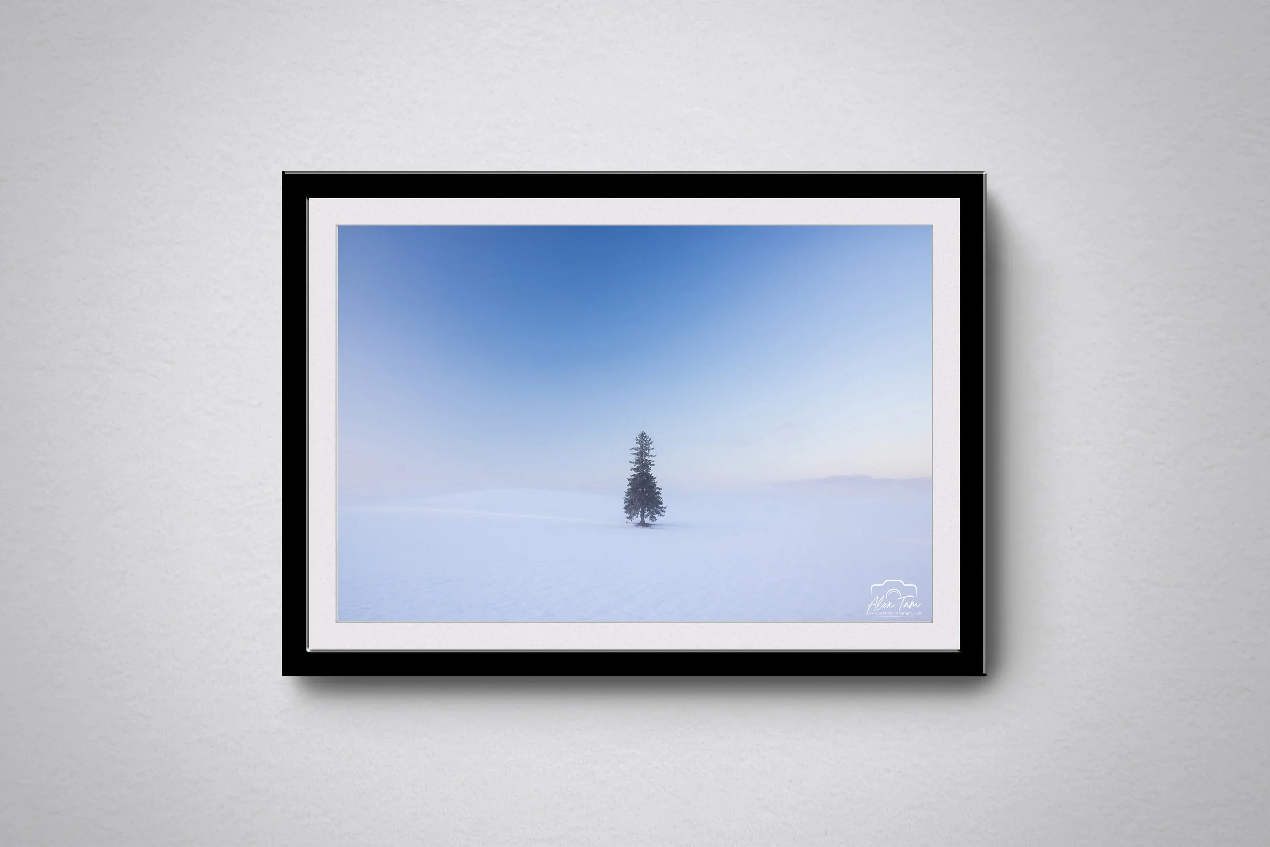 Foggy Xmas tree bck.jpg