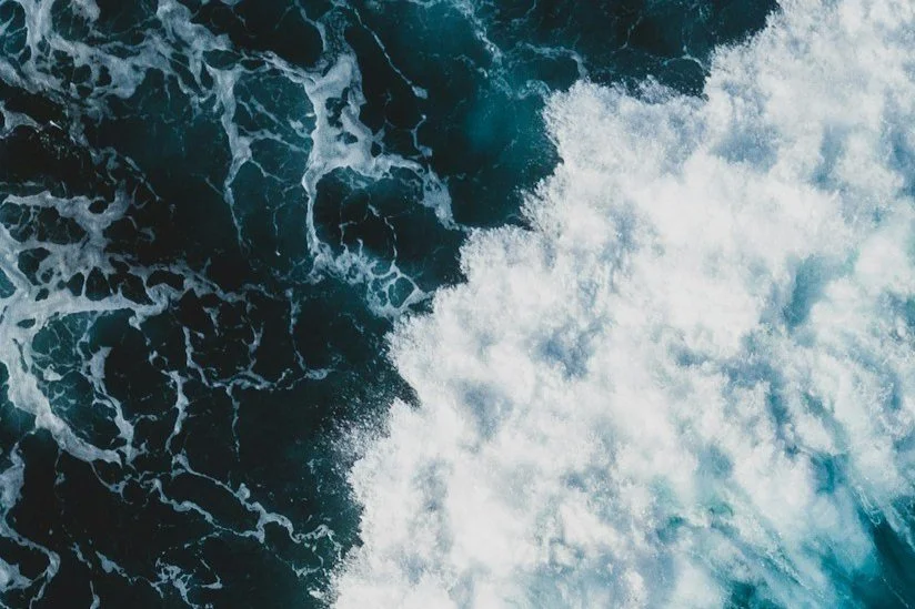 Navigating Tax Complexities in the Canadian Tech Sector