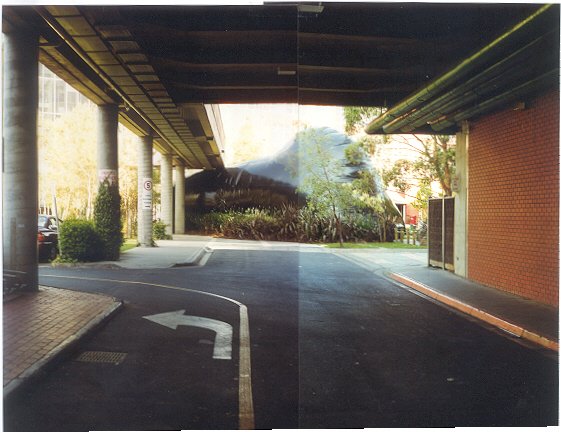 monash backview with arrow.jpg
