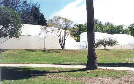 daytime shot wa back view.jpg