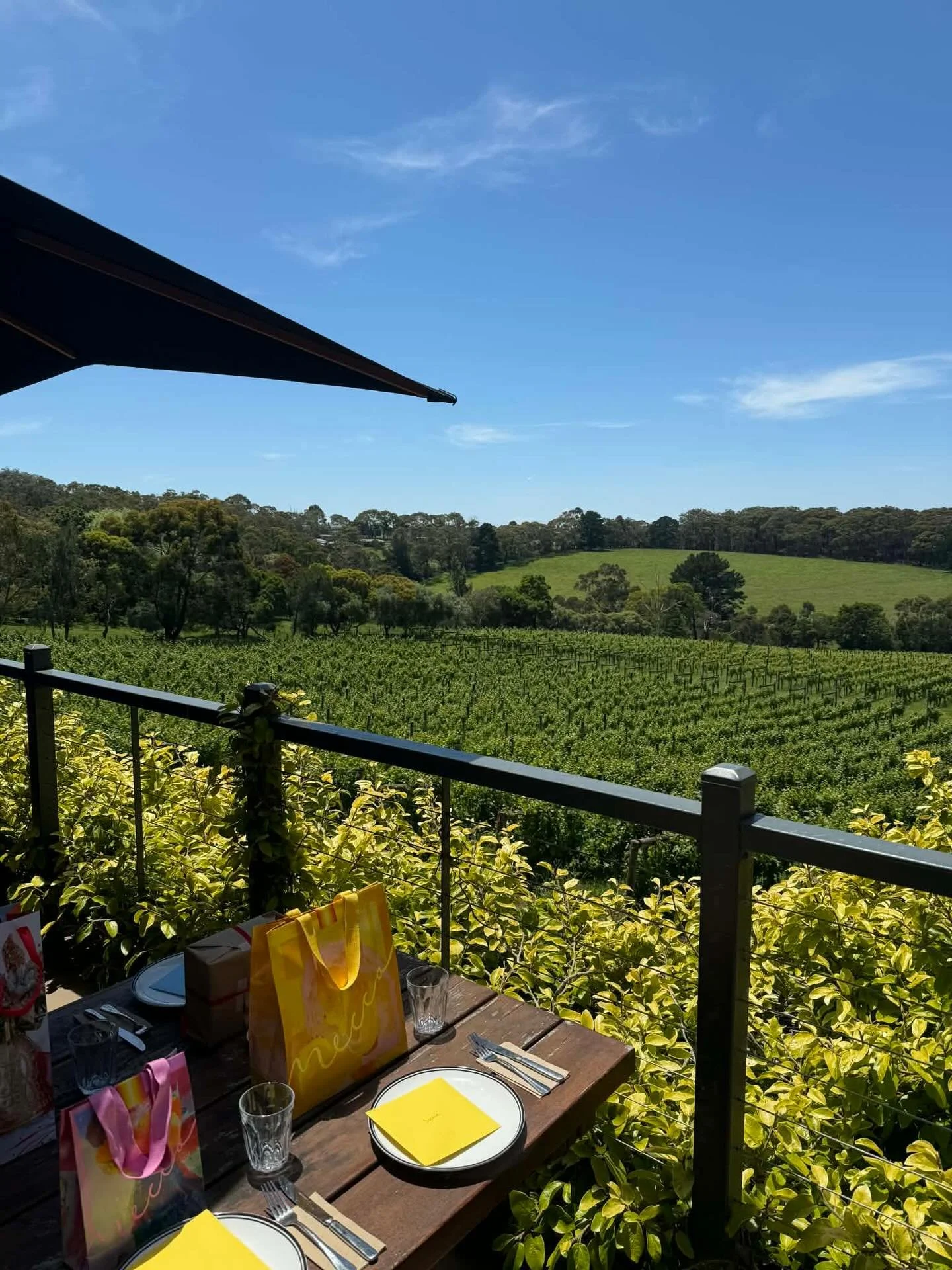 Last Friday we celebrated Christmas with our staff party at  @morningsunvineyard 🎅 

It was so lovely to all get out and enjoy some quality time together in the amazing sunshine ☀️ 

We are so grateful to have such a rockstar team from the factory, 