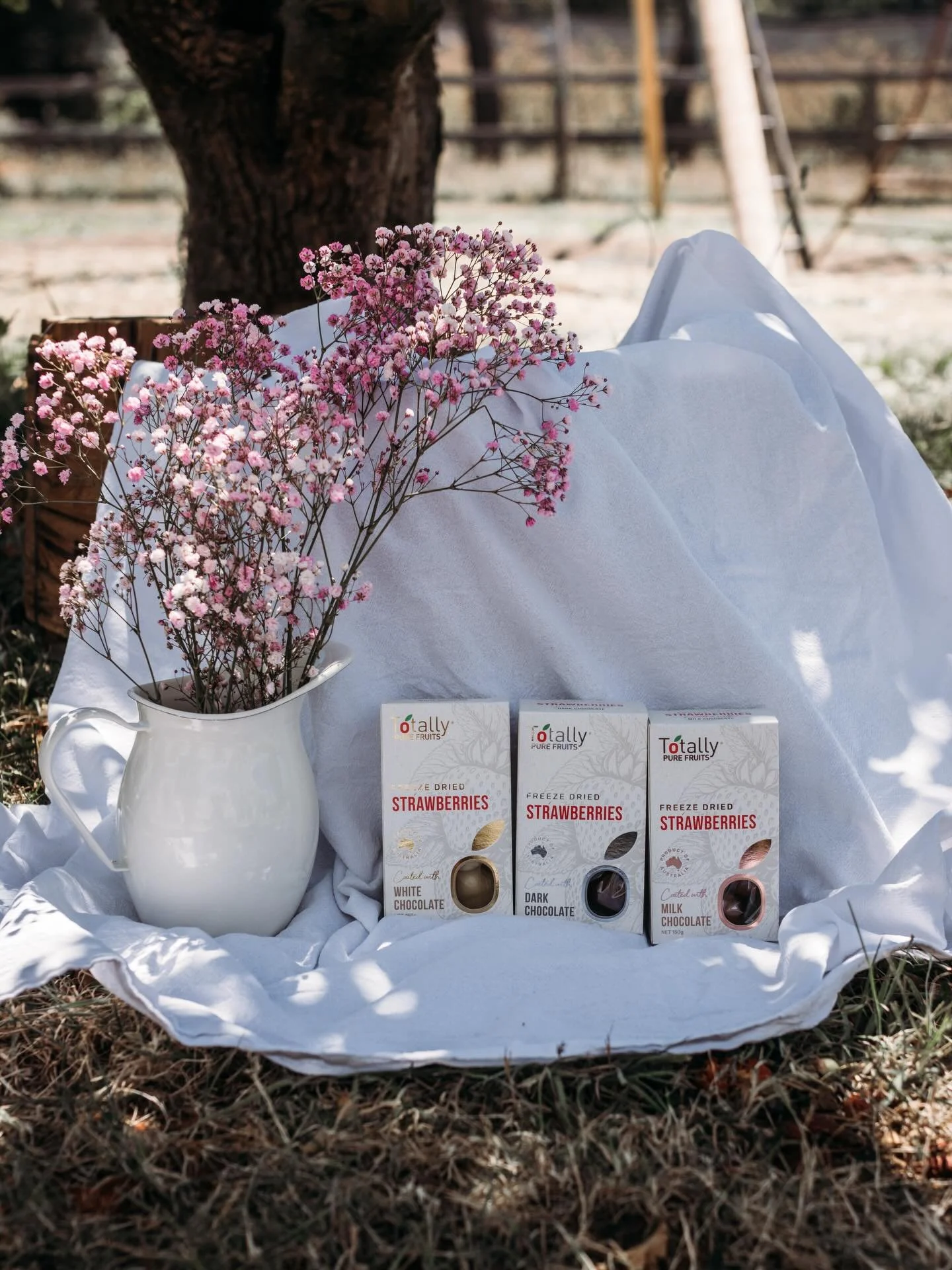 We&rsquo;ve got the ultimate Valentine&rsquo;s Day gift for you 🍓💘

Our chocolate-coated freeze dried strawberries are the perfect mix of premium and delicious, a sweet crunchy treat that anyone will adore 🥰 

You can purchase online, through our 