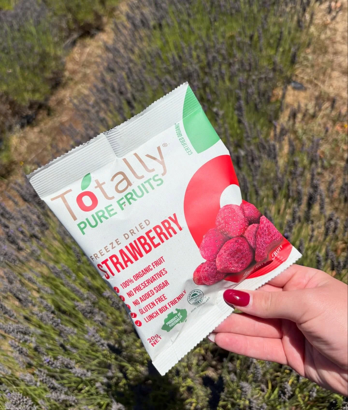 Premium taste and seriously delicious 🤤 

Our freeze-dried strawberries are the perfect snack. They are single ingredient and perfectly crunchy! ✨🍓

#freezedried #strawberry #freezedriedfruit #totallypurefruits