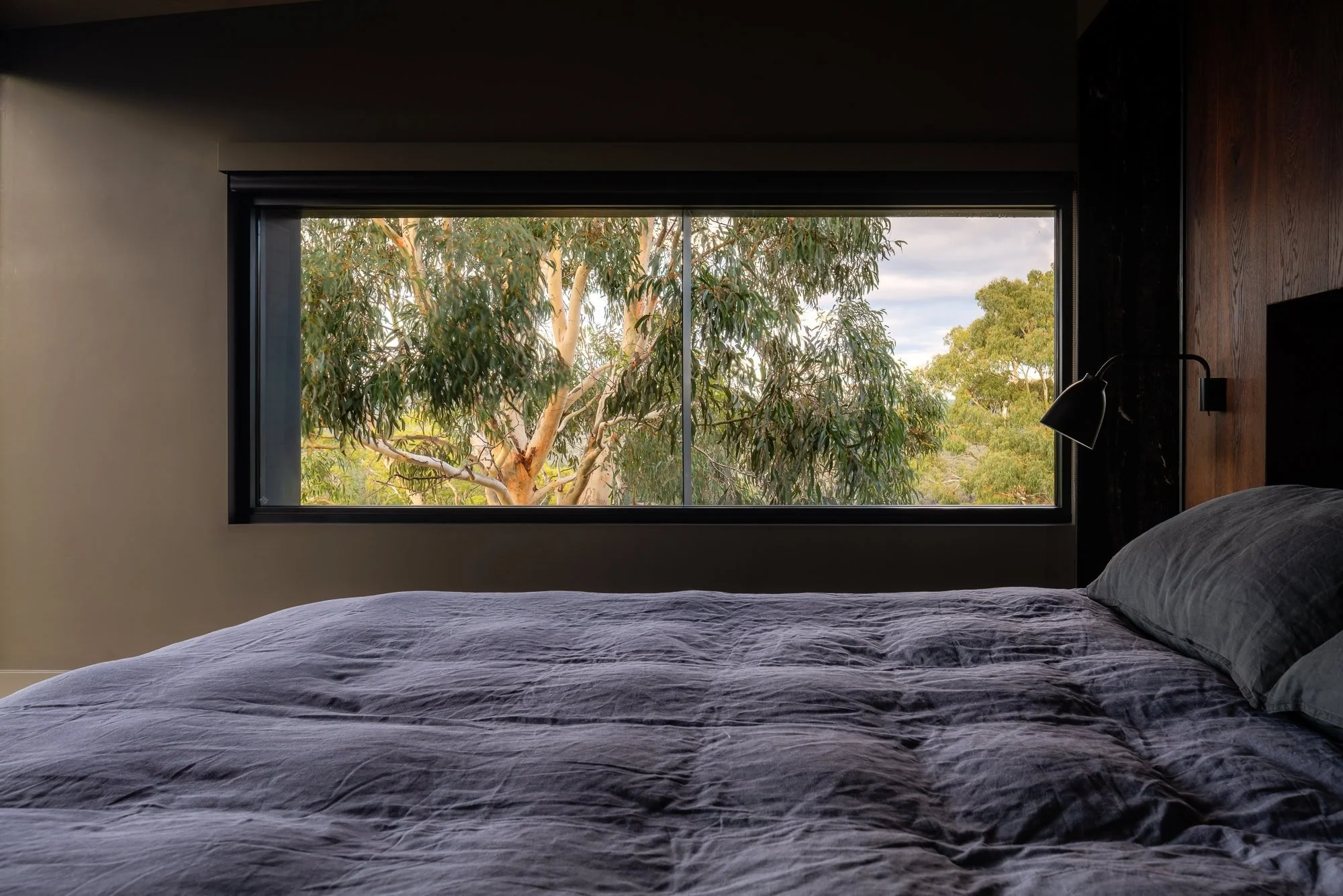 Breakneck Gorge Oikos BR-1.jpg