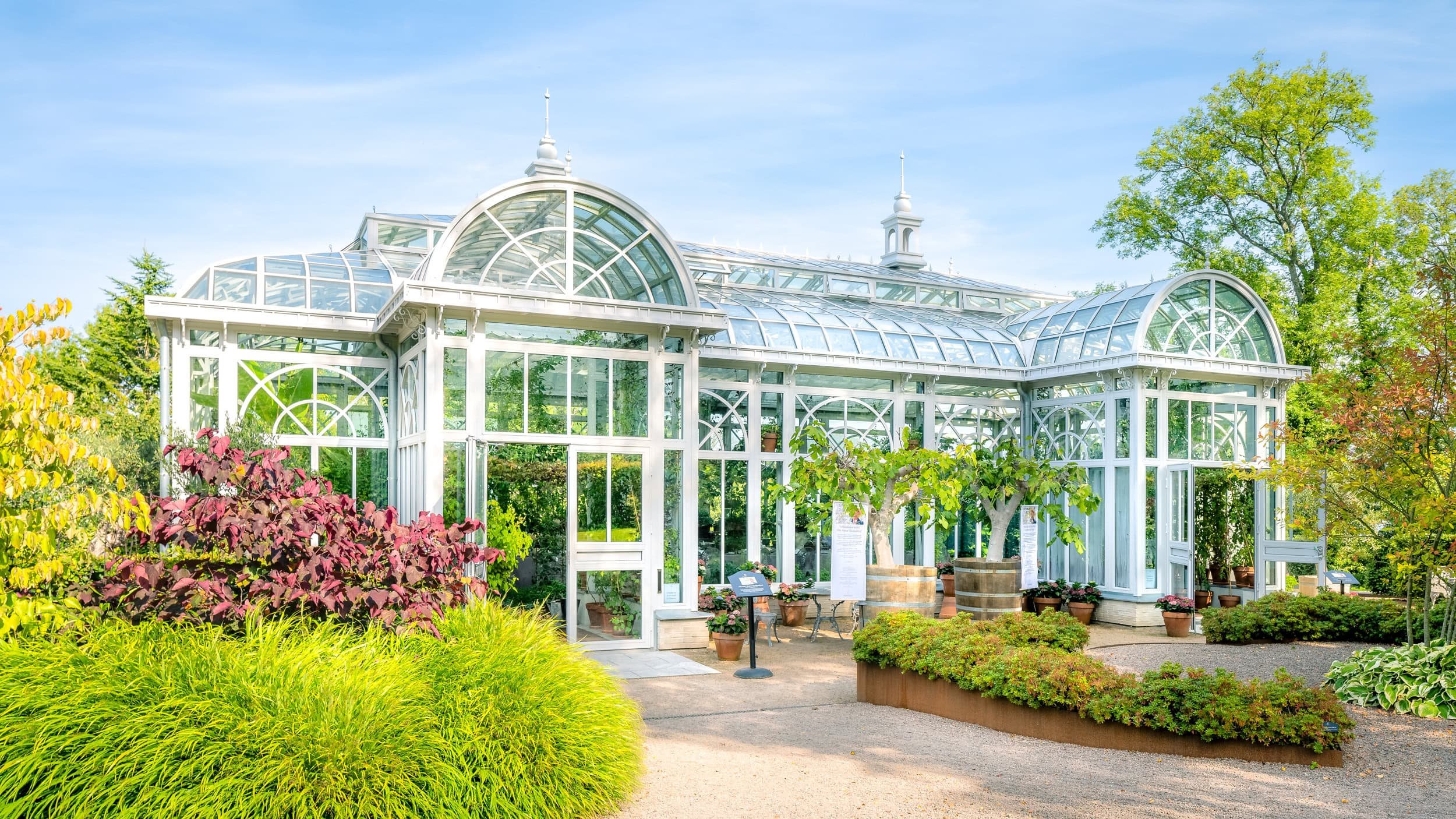 Greenhouse with glass windows and arched roof, surrounded by greenery and plants, under a clear blue sky.