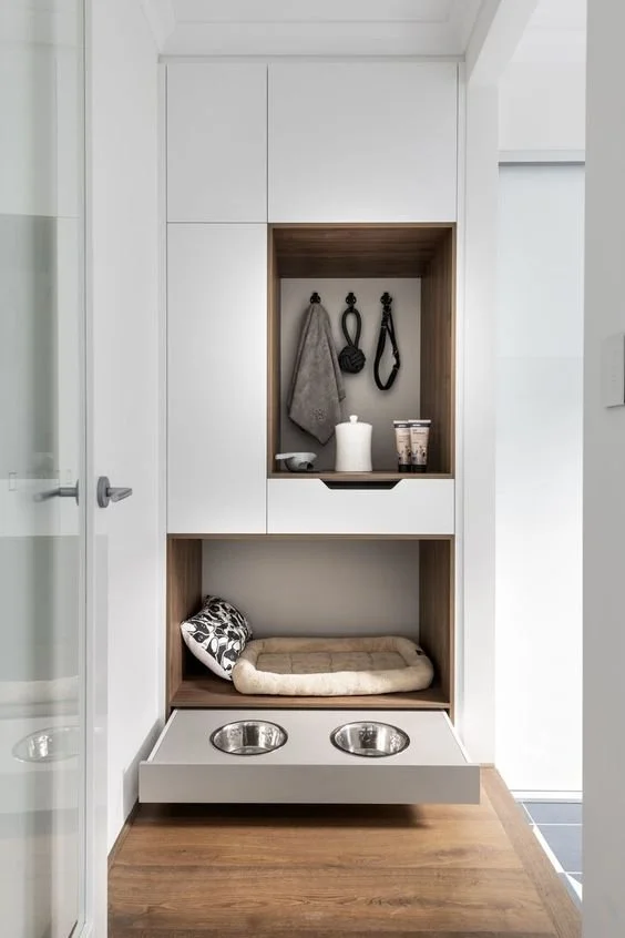 Custom Dog Cantina