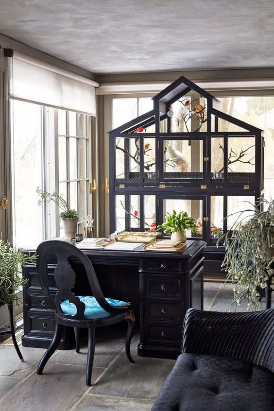 Bird cage in home office