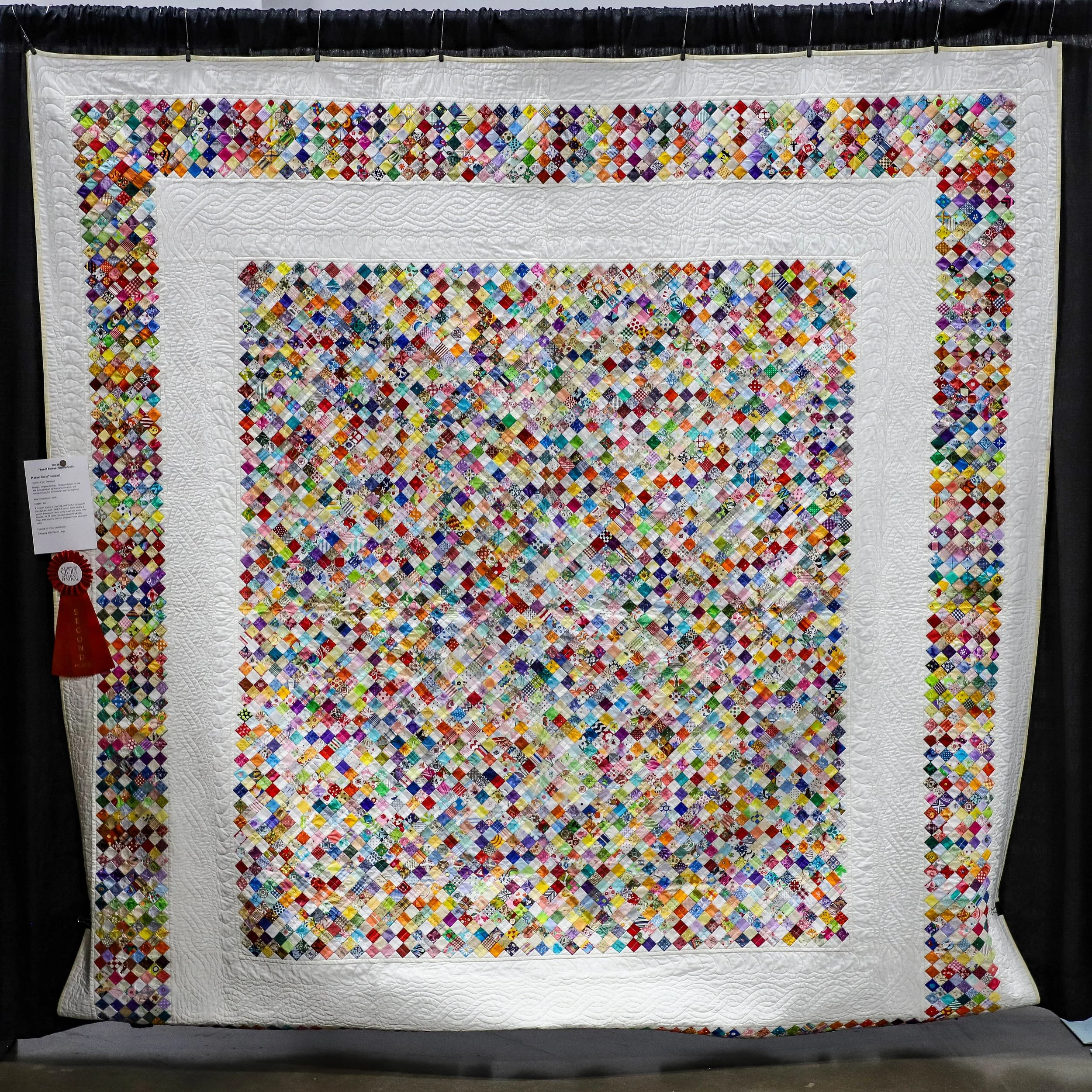 Pieced Large 2nd Place - Corri Theobald - 78¢ent Forever 