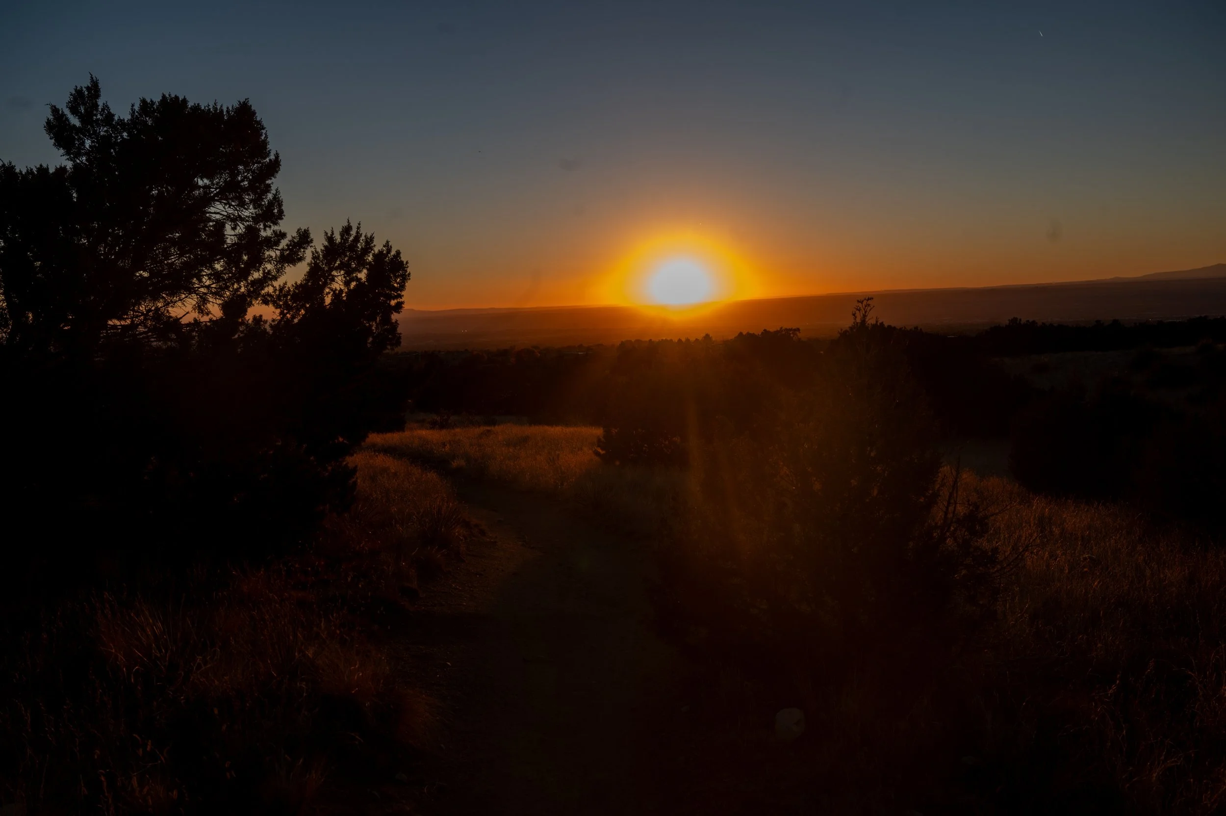 Sunset over a landscape with trees in the foreground and hills in the distance.