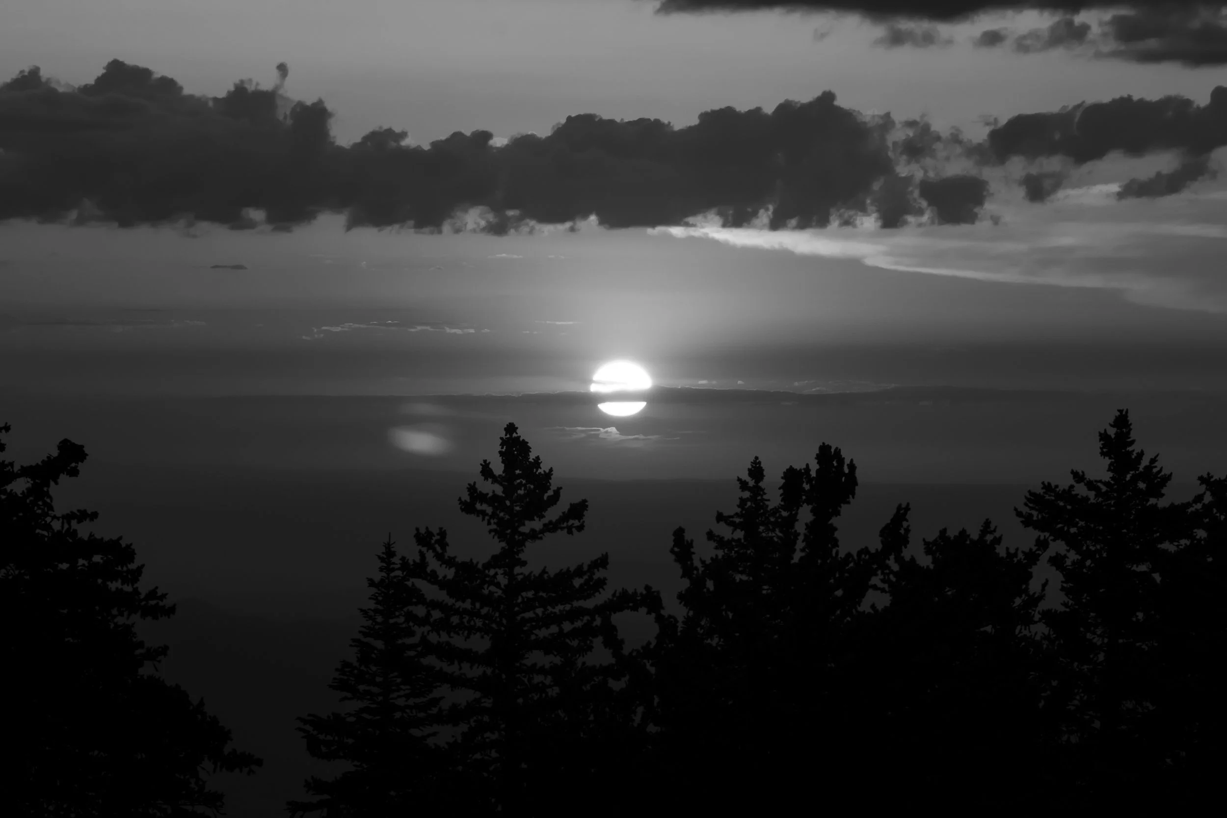 Black and white photograph of a sunset with the sun near the horizon, trees in the foreground, and clouds in the sky.