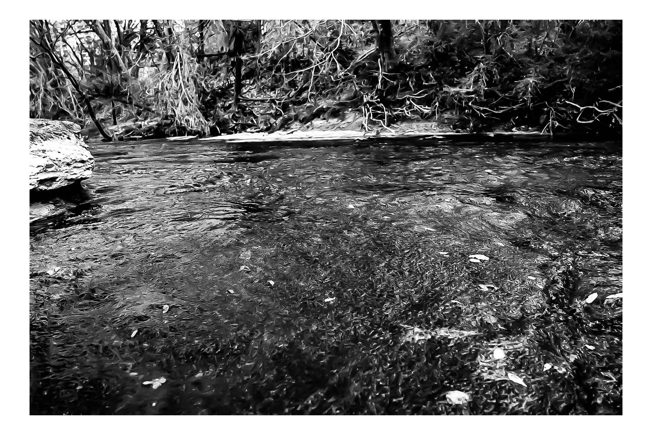 A black and white photo of a river with water flowing over rocks and fallen leaves, surrounded by dense trees and branches.
