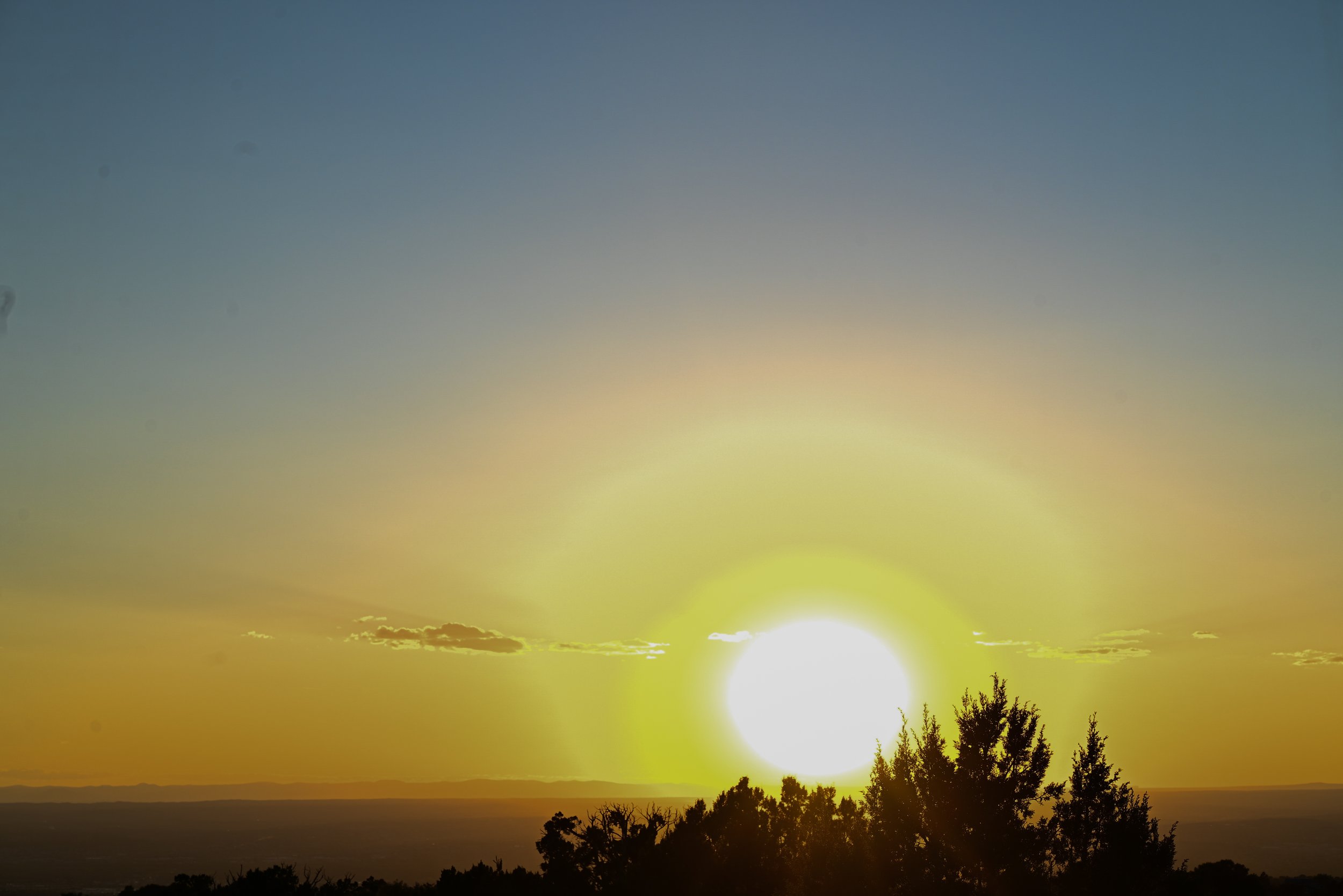 Sunset over the horizon with silhouettes of trees in the foreground.