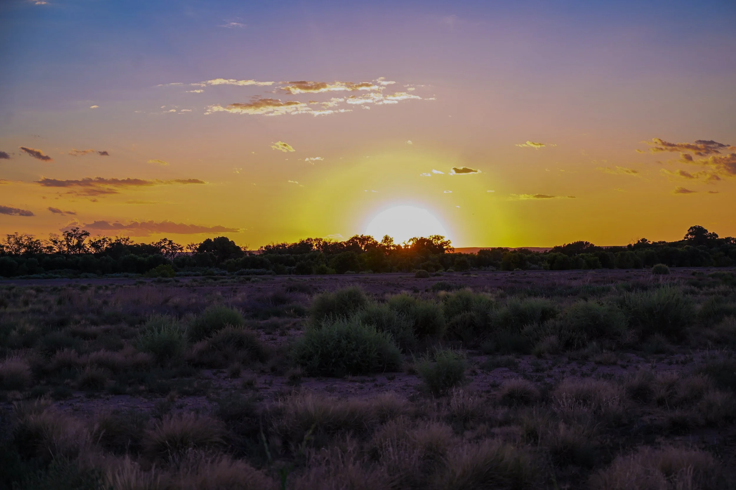Sunset over a landscape with trees and shrubs.