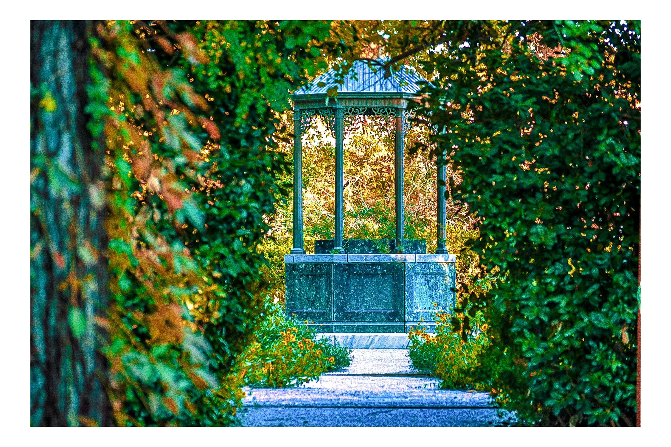 A pathway leading to a decorative gazebo, surrounded by dense greenery and bushes, with sunlight filtering through the trees.