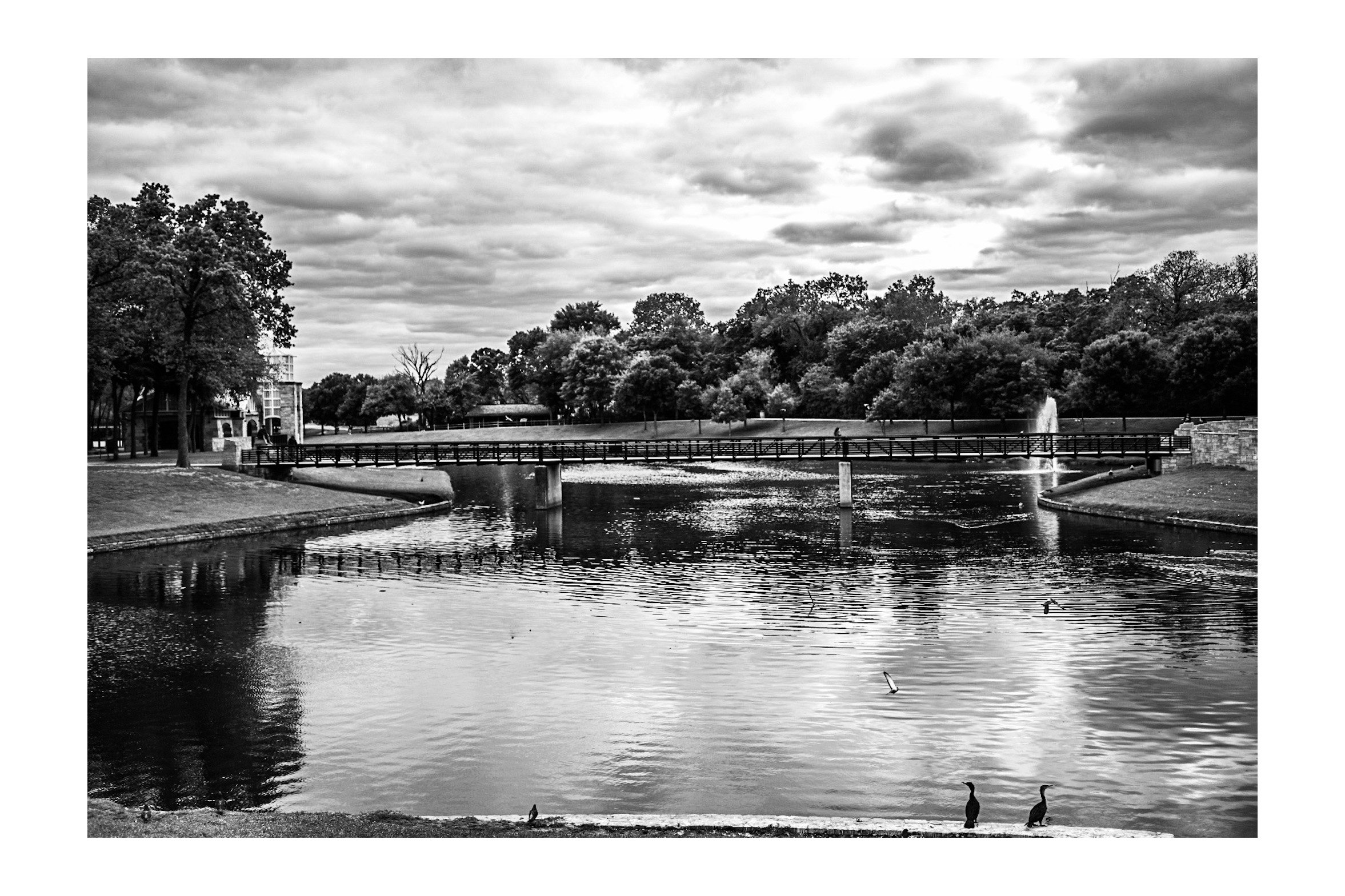 A black and white photo of a park scene with a pond, trees, a bridge, and a fountain, under cloudy skies, with birds along the water's edge.