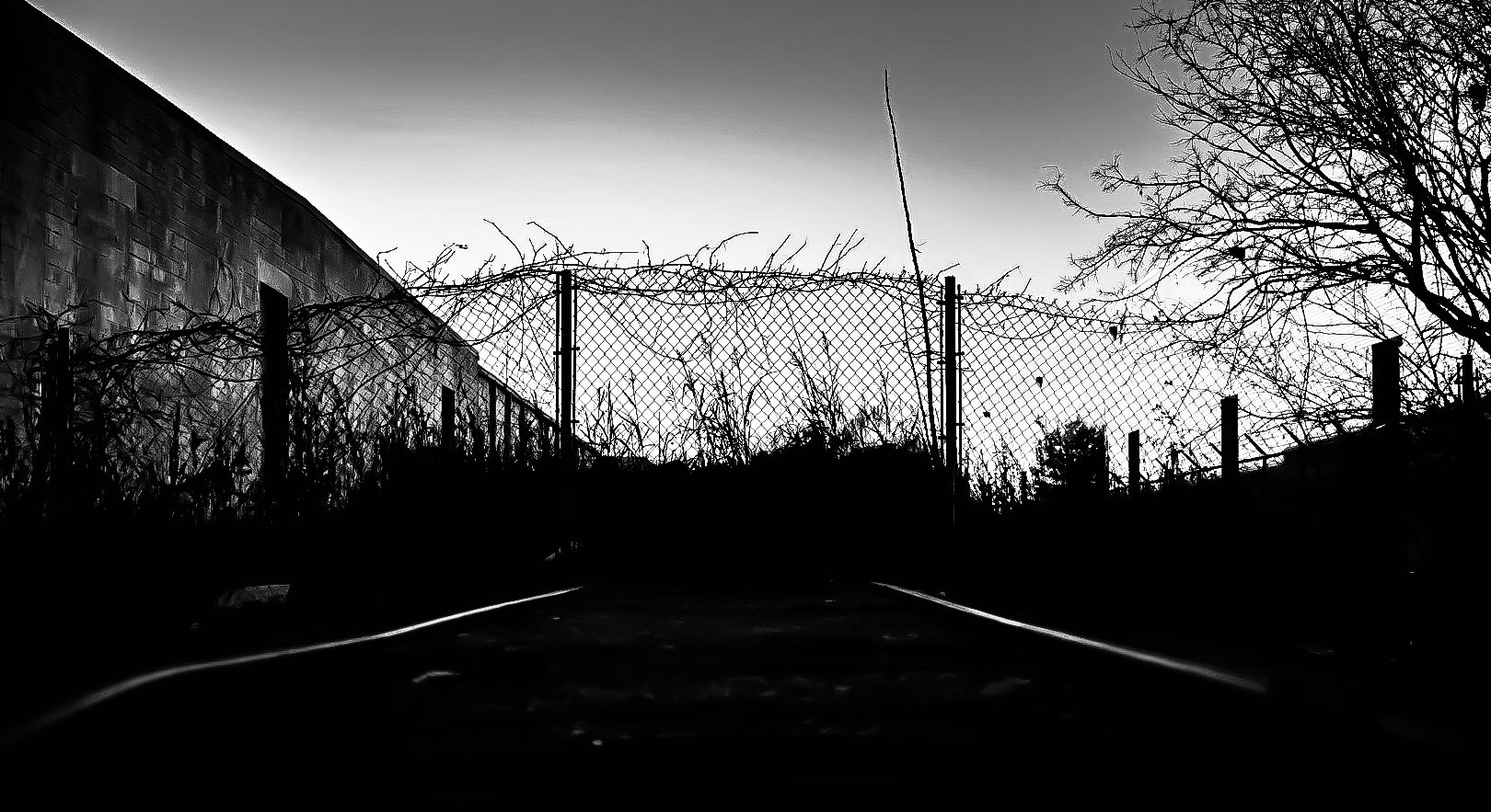 A black and white photograph of a chain-link fence topped with barbed wire, with leafless trees and a building in the background on either side. The ground appears to have some railway tracks.