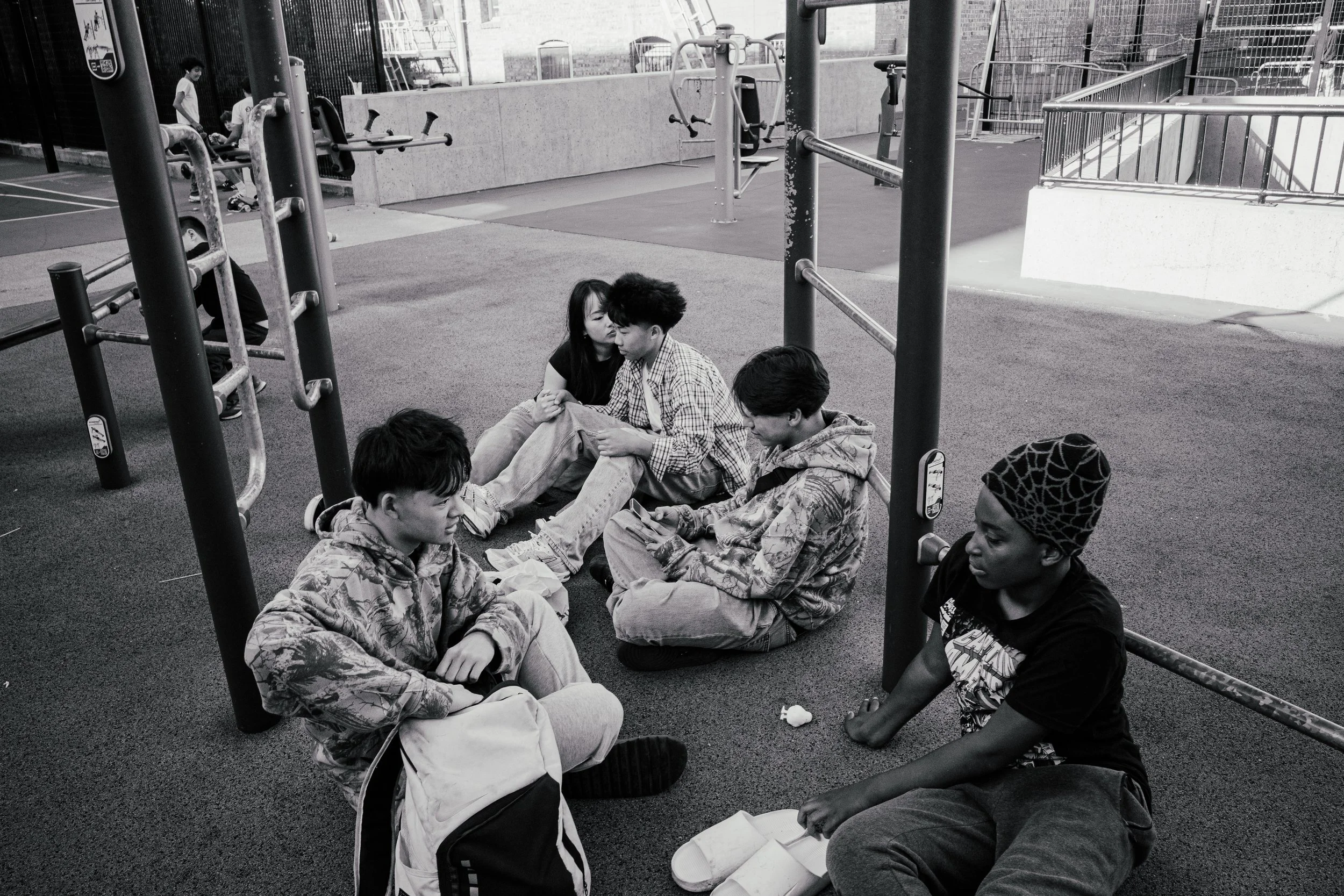 Willy Woo Teens.jpg