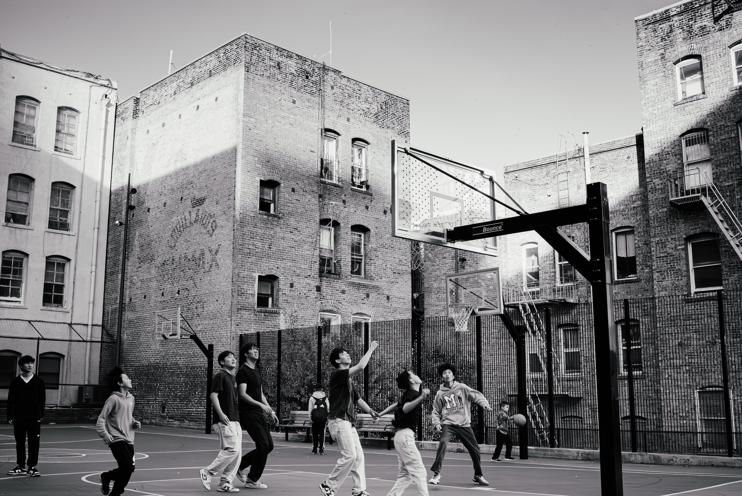 Willy_Woo_Basket_ball.jpg
